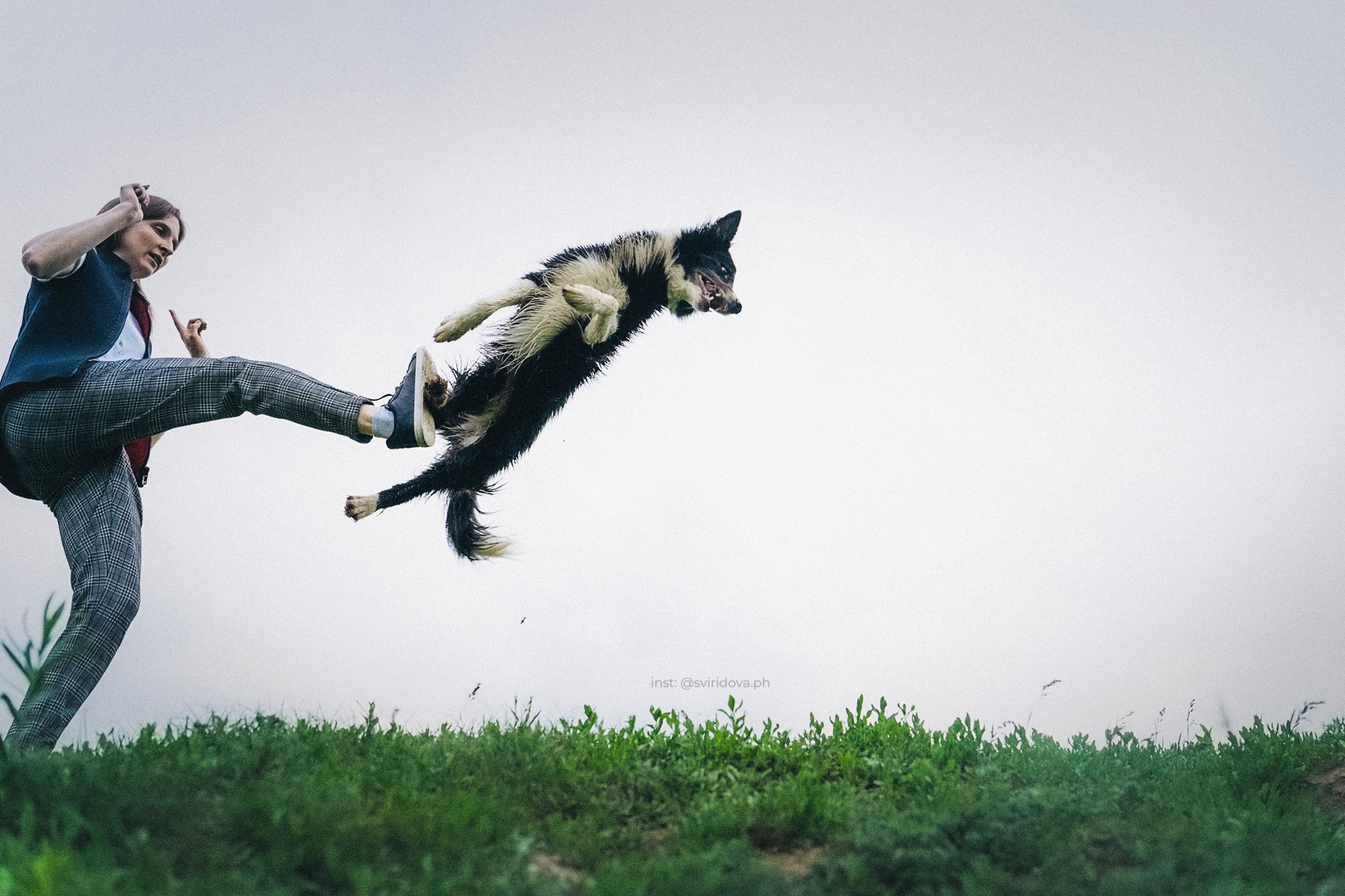 Вика и Веник. Фотограф анималист в Москве и Санкт-Петербурге Свиридова Анна
