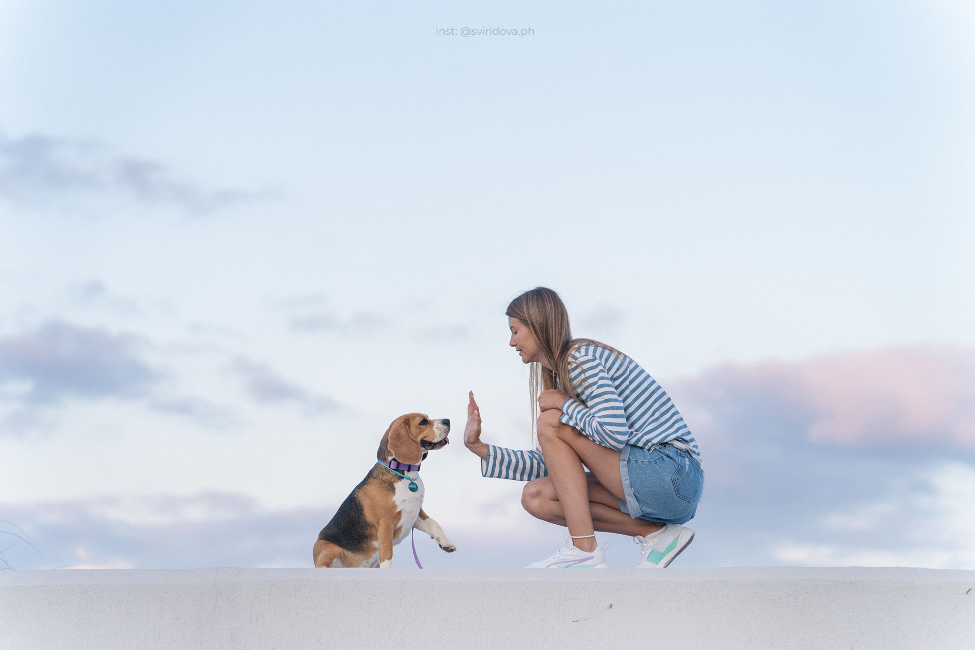Евгения и Мира. Фотограф анималист в Москве и Санкт-Петербурге Свиридова Анна