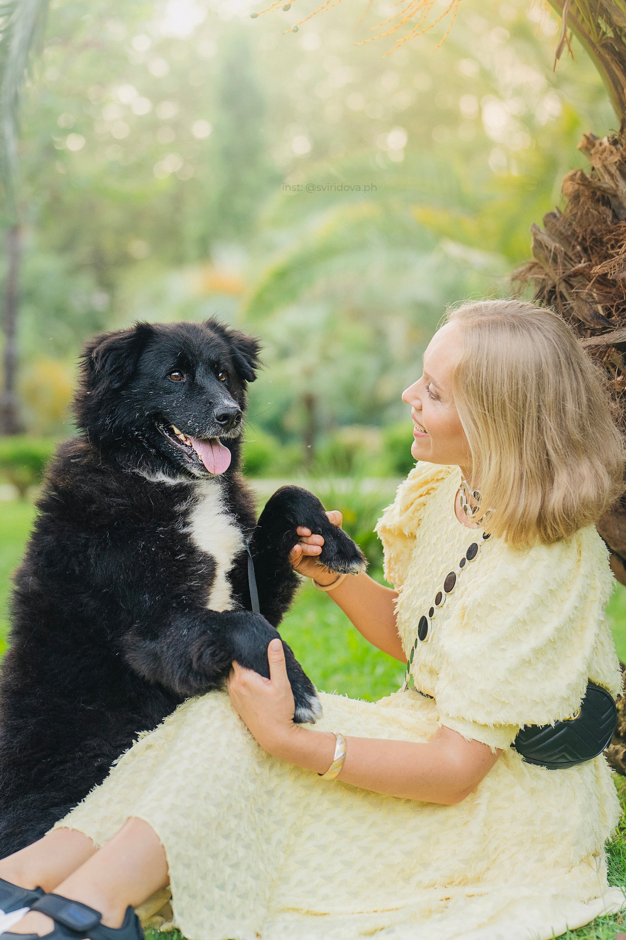 Собакам ищут дом. Фотограф анималист в Москве и Санкт-Петербурге Свиридова Анна