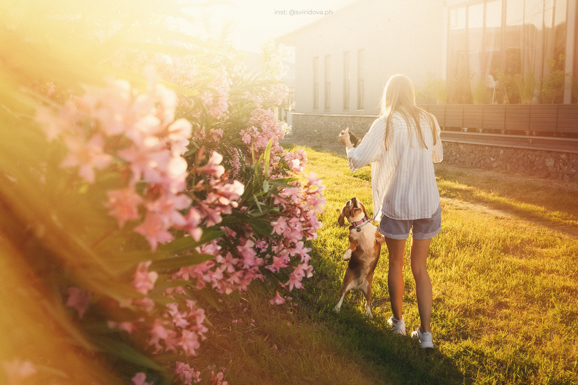 Евгения и Мира. Фотограф анималист в Москве и Санкт-Петербурге Свиридова Анна