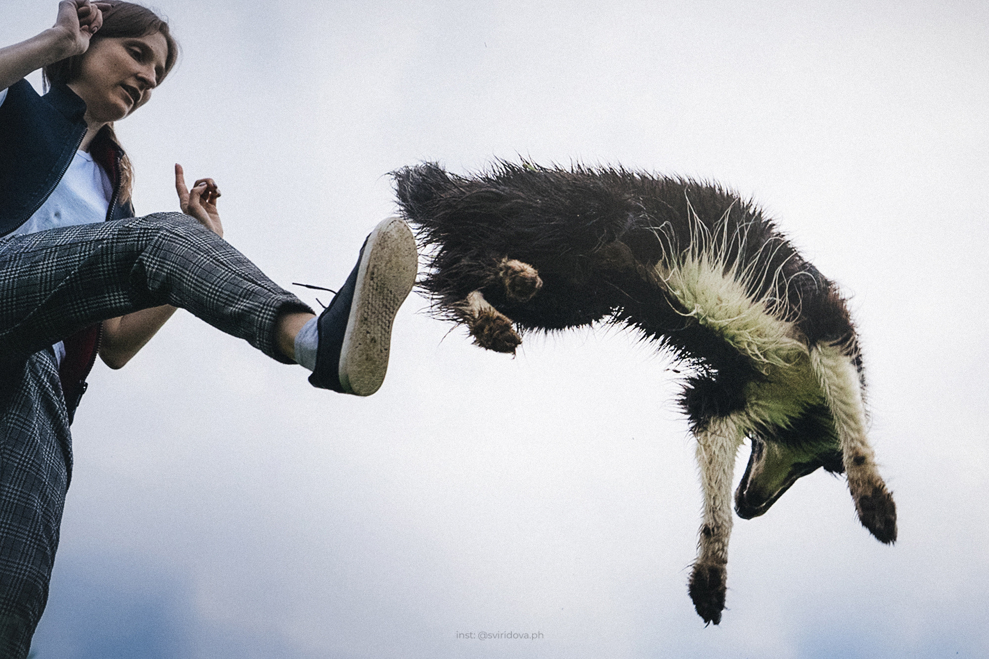 Вика и Веник. Фотограф анималист в Москве и Санкт-Петербурге Свиридова Анна