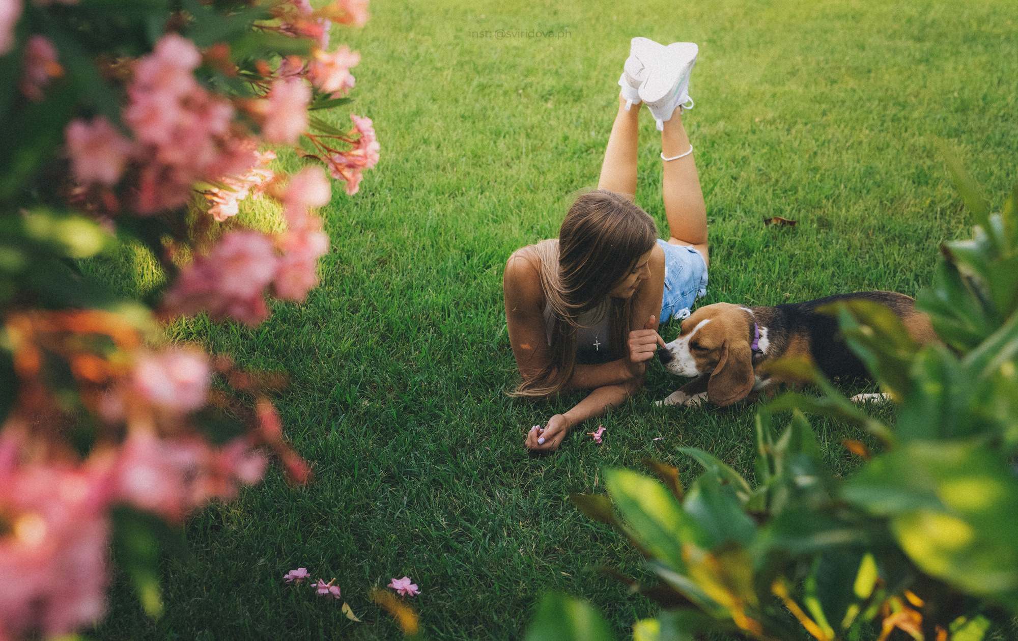 Евгения и Мира. Фотограф анималист в Москве и Санкт-Петербурге Свиридова Анна