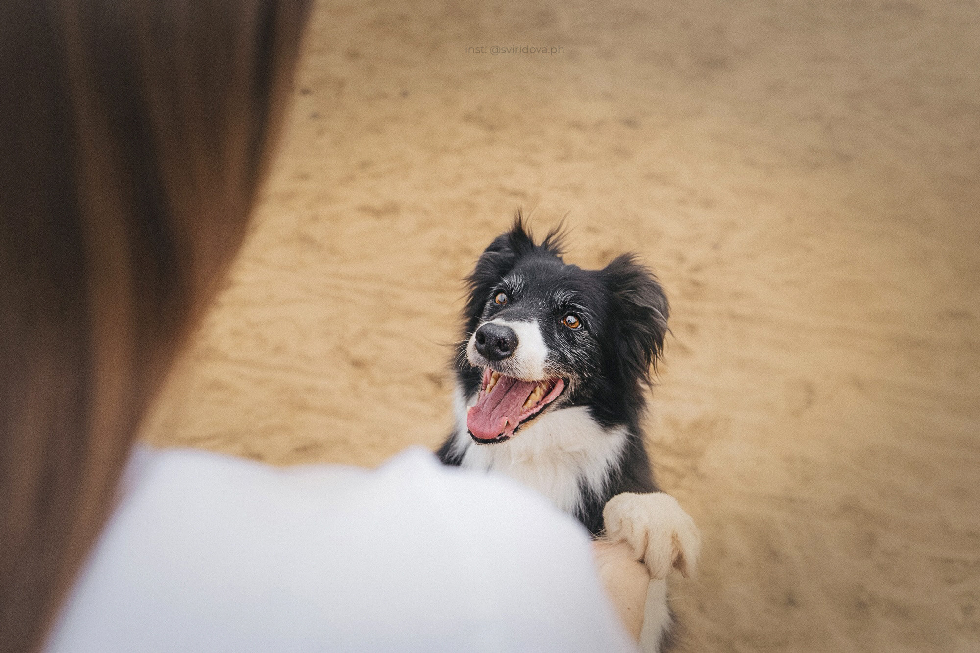 Вика и Веник. Фотограф анималист в Москве и Санкт-Петербурге Свиридова Анна