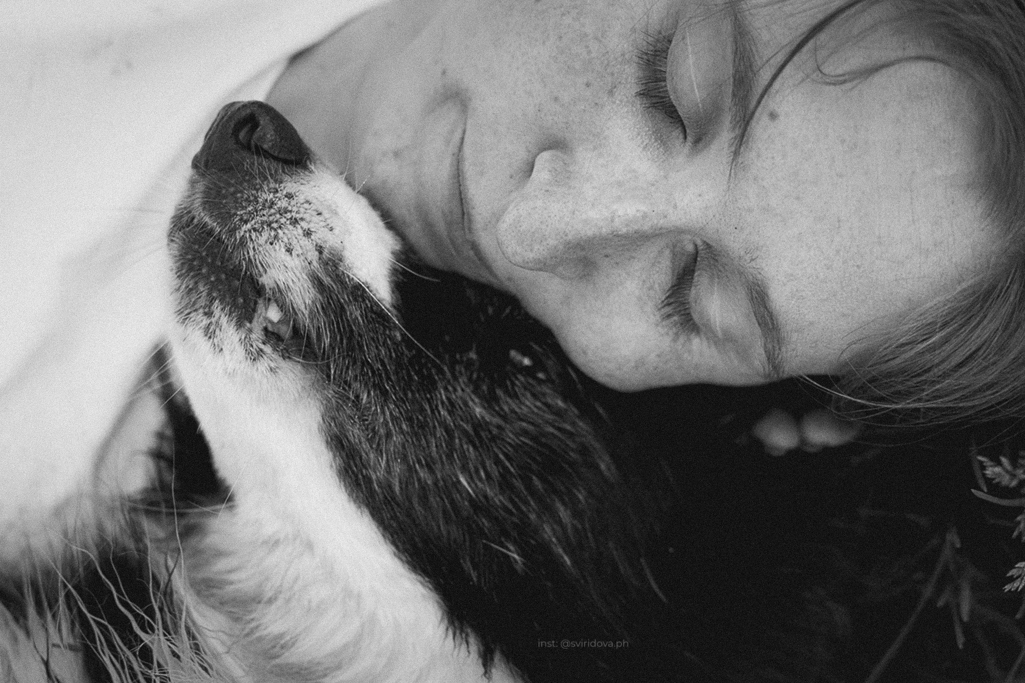Вика и Веник. Фотограф анималист в Москве и Санкт-Петербурге Свиридова Анна