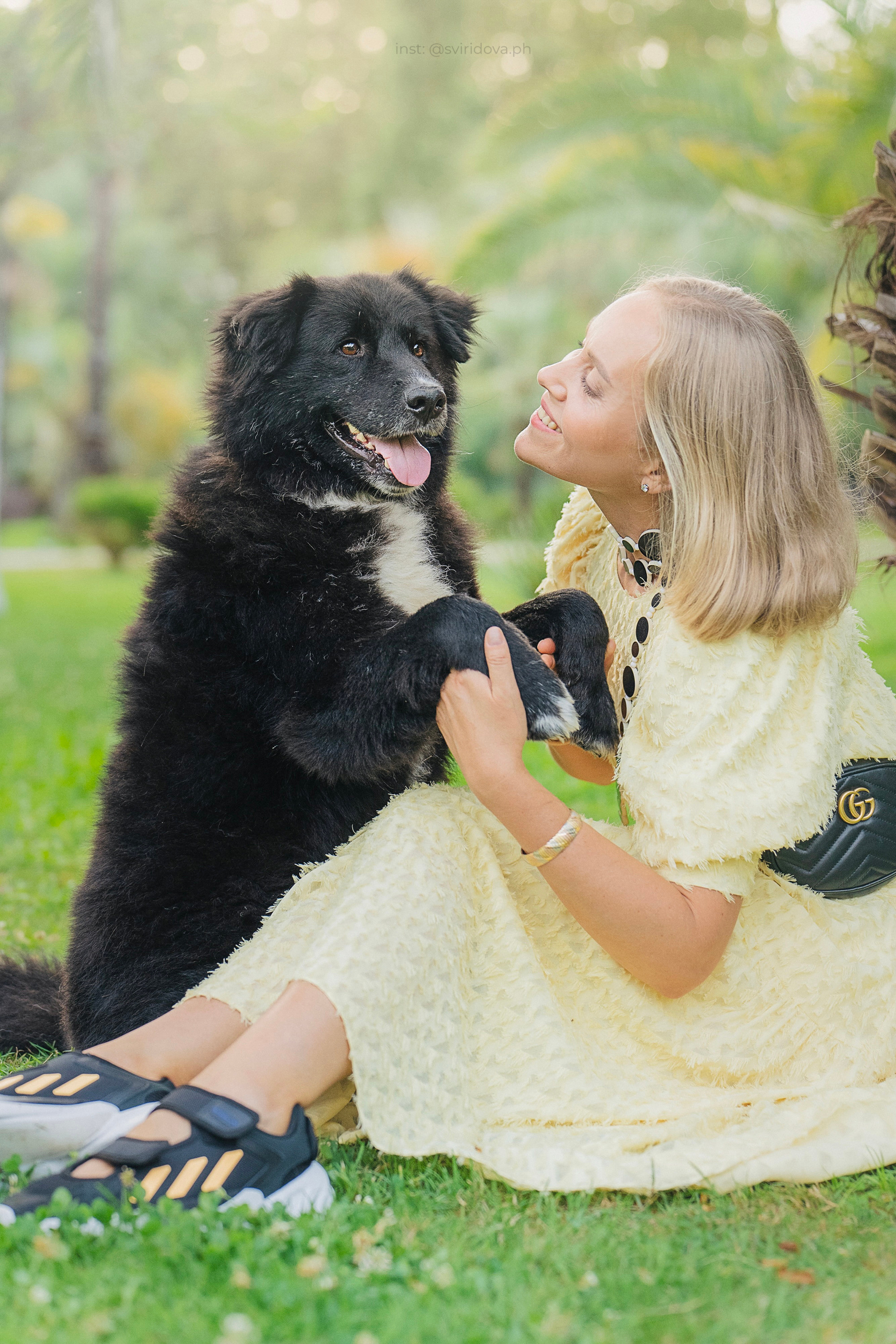 Собакам ищут дом. Фотограф анималист в Москве и Санкт-Петербурге Свиридова Анна