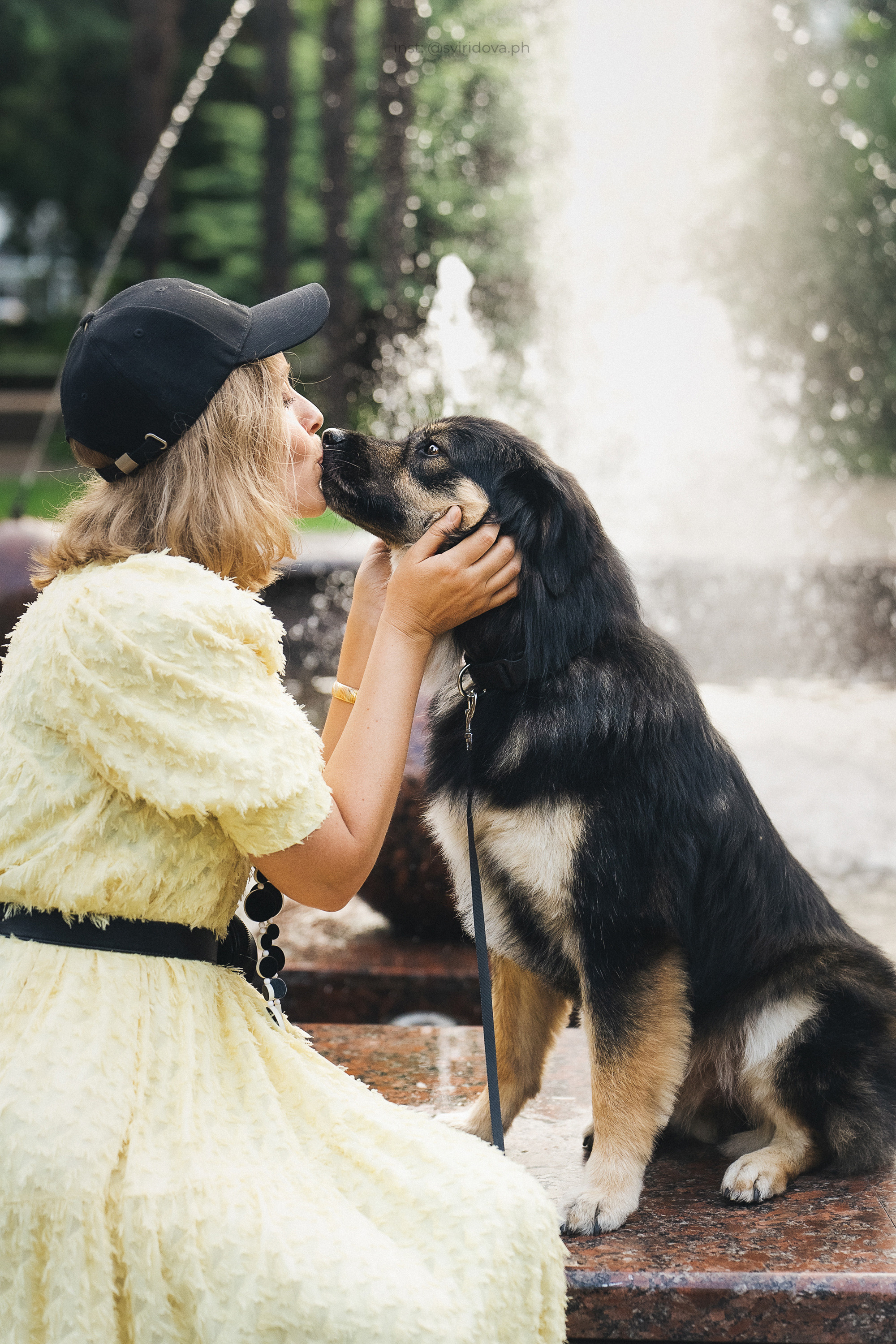 Собакам ищут дом. Фотограф анималист в Москве и Санкт-Петербурге Свиридова Анна