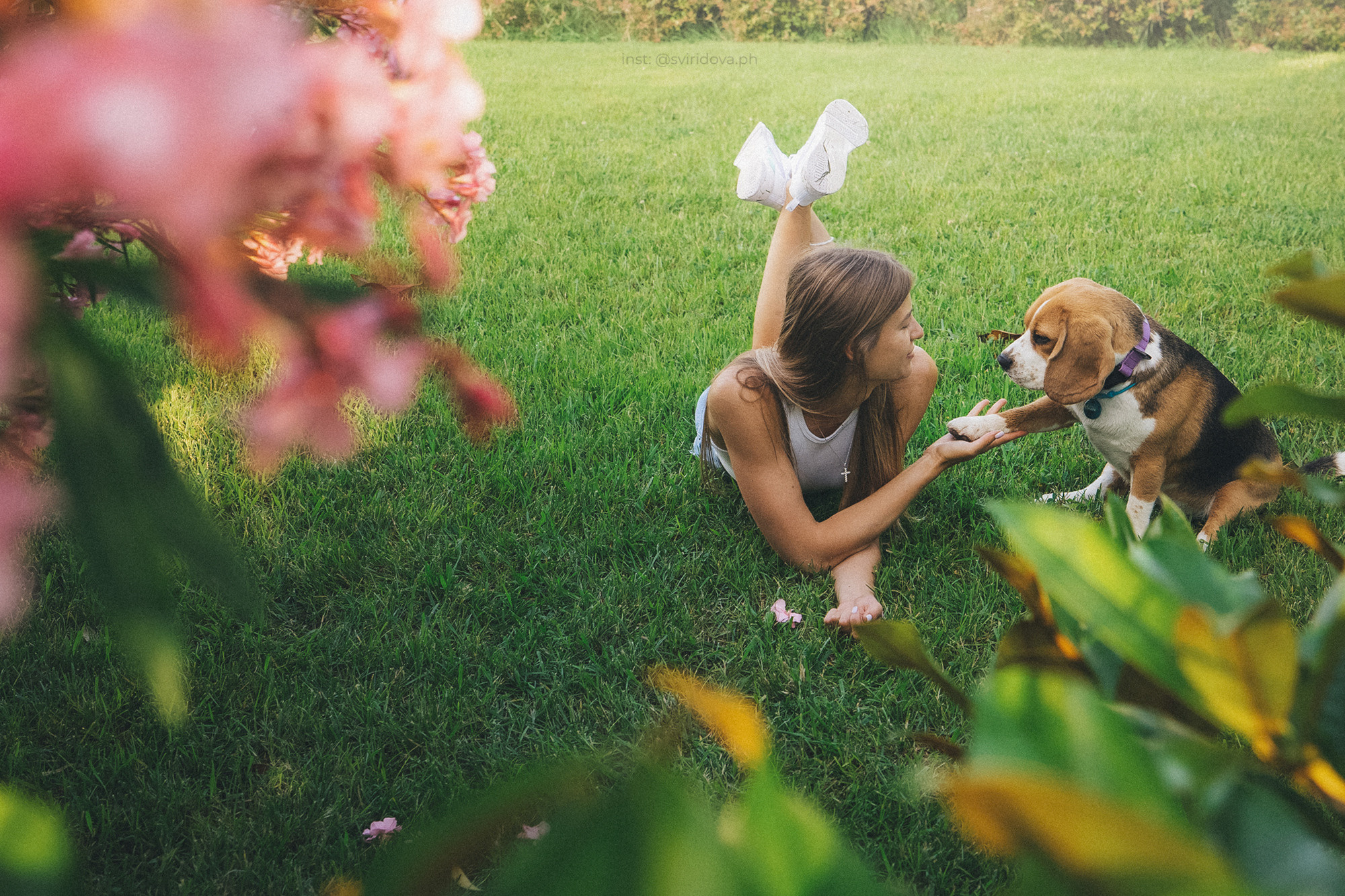 Евгения и Мира. Фотограф анималист в Москве и Санкт-Петербурге Свиридова Анна