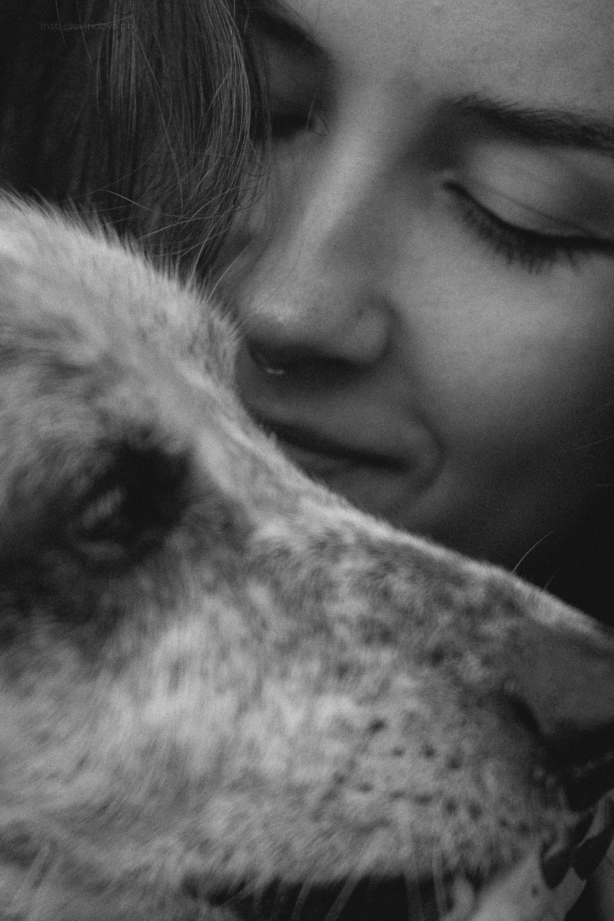 Катя и Бутуз. Фотограф анималист в Москве и Санкт-Петербурге Свиридова Анна