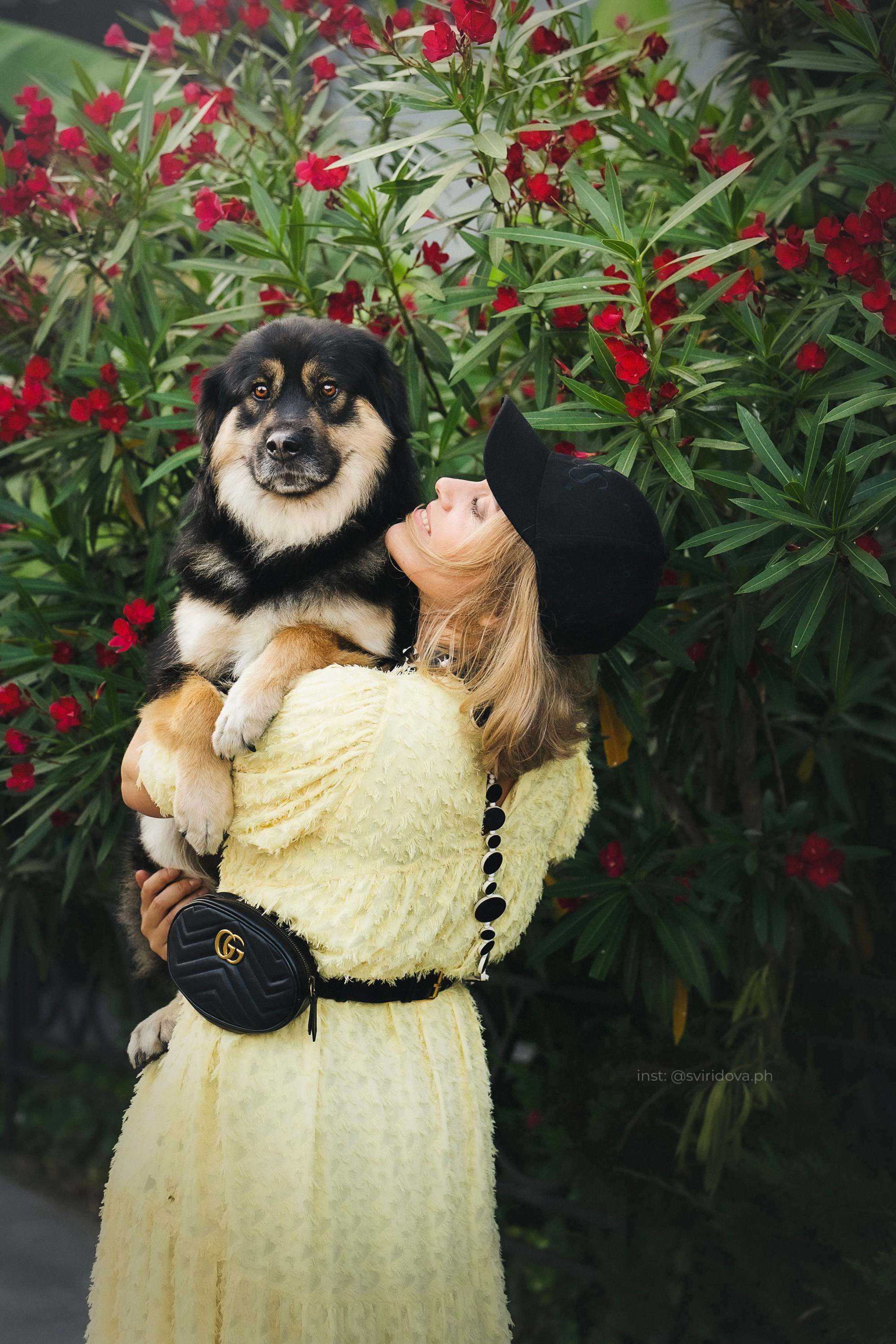 Собакам ищут дом. Фотограф анималист в Москве и Санкт-Петербурге Свиридова Анна
