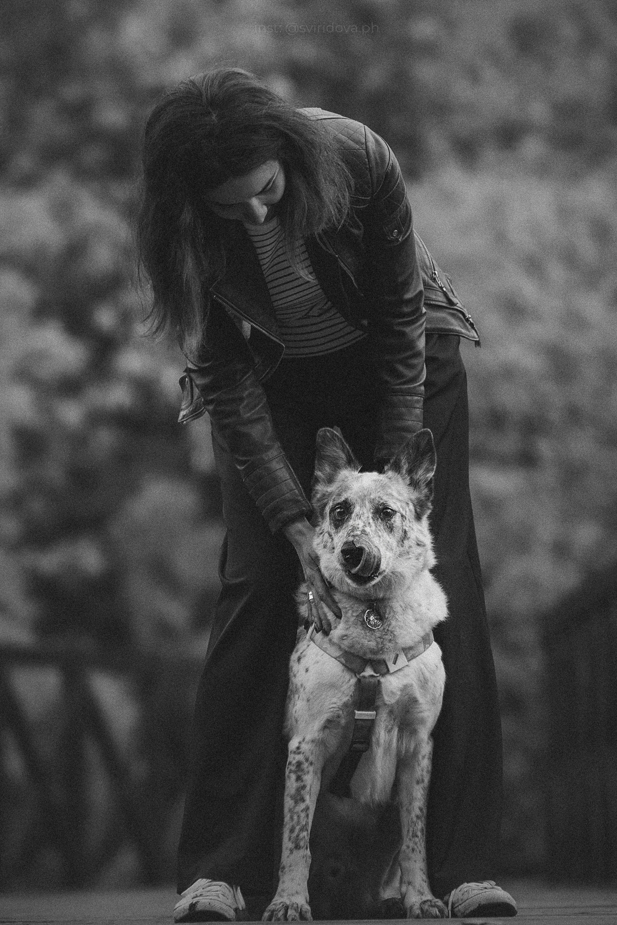 Катя и Бутуз. Фотограф анималист в Москве и Санкт-Петербурге Свиридова Анна