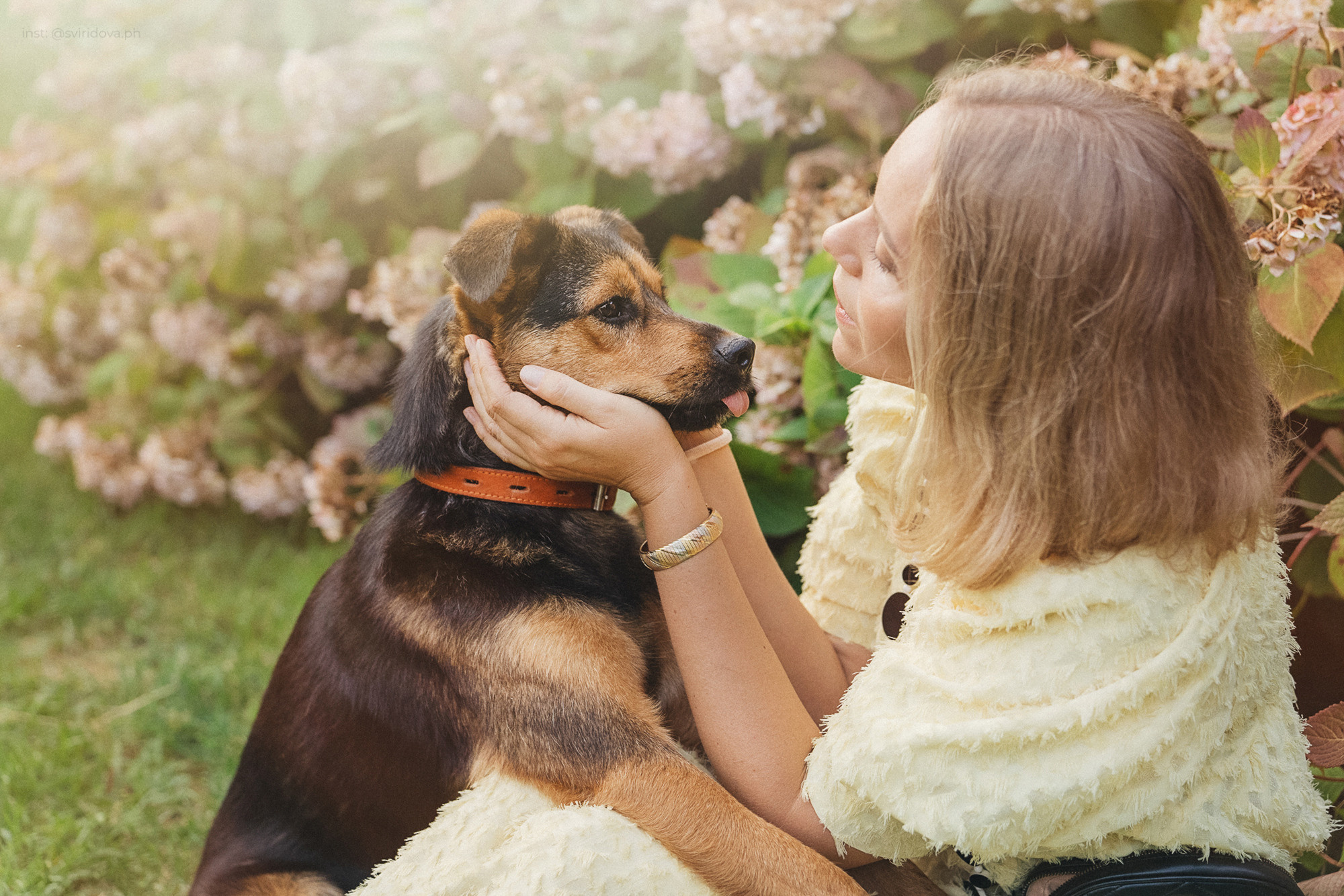Собакам ищут дом. Фотограф анималист в Москве и Санкт-Петербурге Свиридова Анна