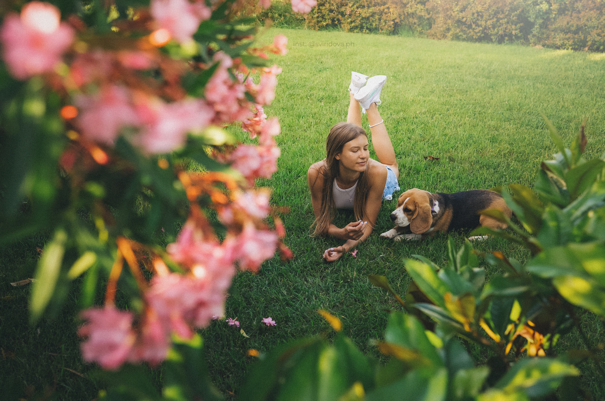 Евгения и Мира. Фотограф анималист в Москве и Санкт-Петербурге Свиридова Анна