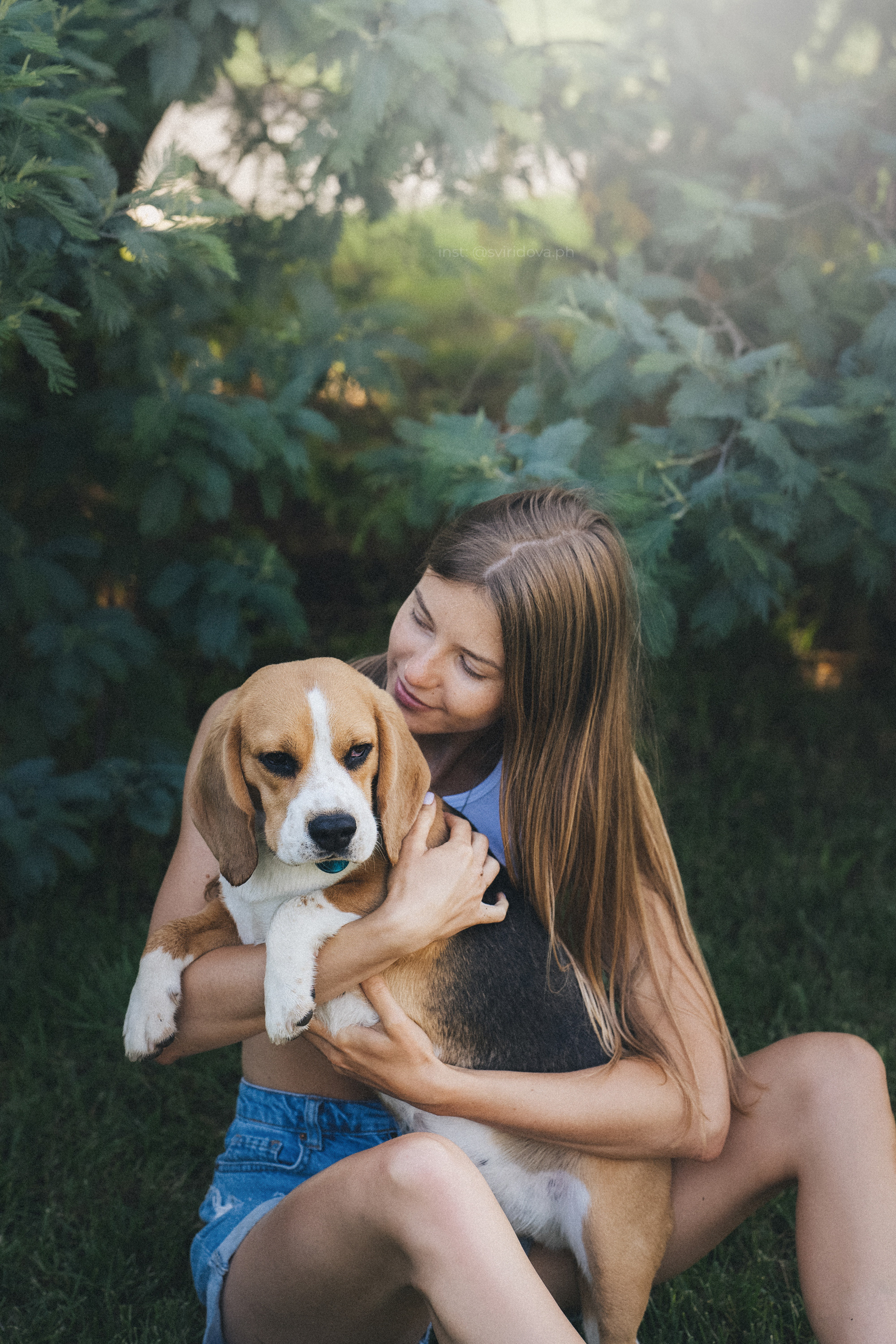 Евгения и Мира. Фотограф анималист в Москве и Санкт-Петербурге Свиридова Анна