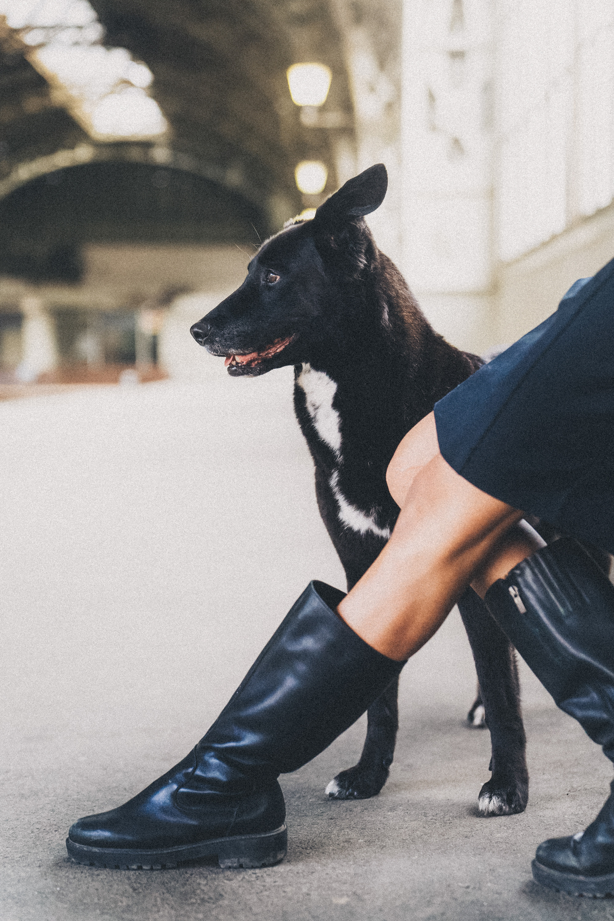 Вика и Чара. Фотограф анималист в Москве и Санкт-Петербурге Свиридова Анна