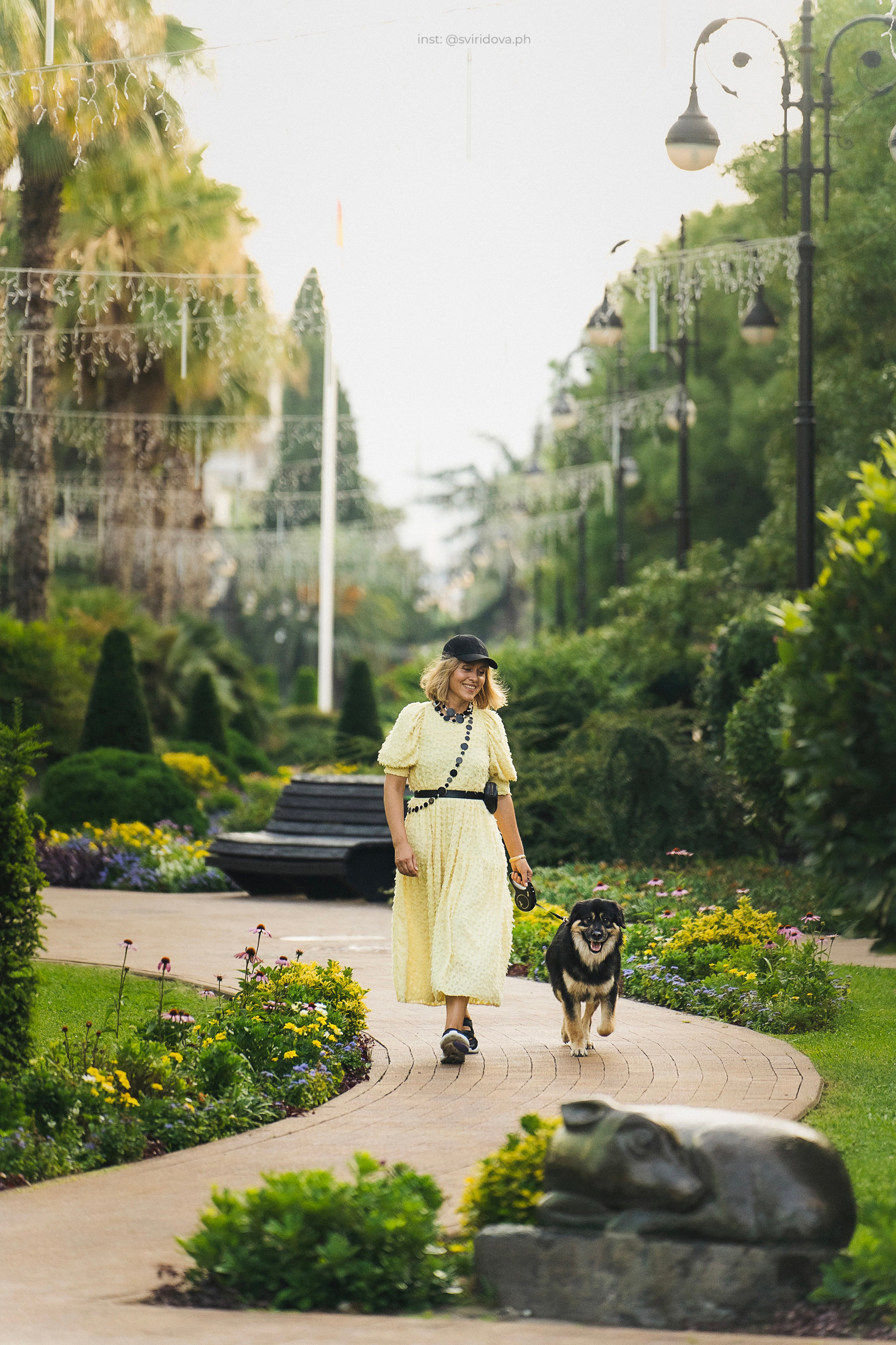 Собакам ищут дом. Фотограф анималист в Москве и Санкт-Петербурге Свиридова Анна