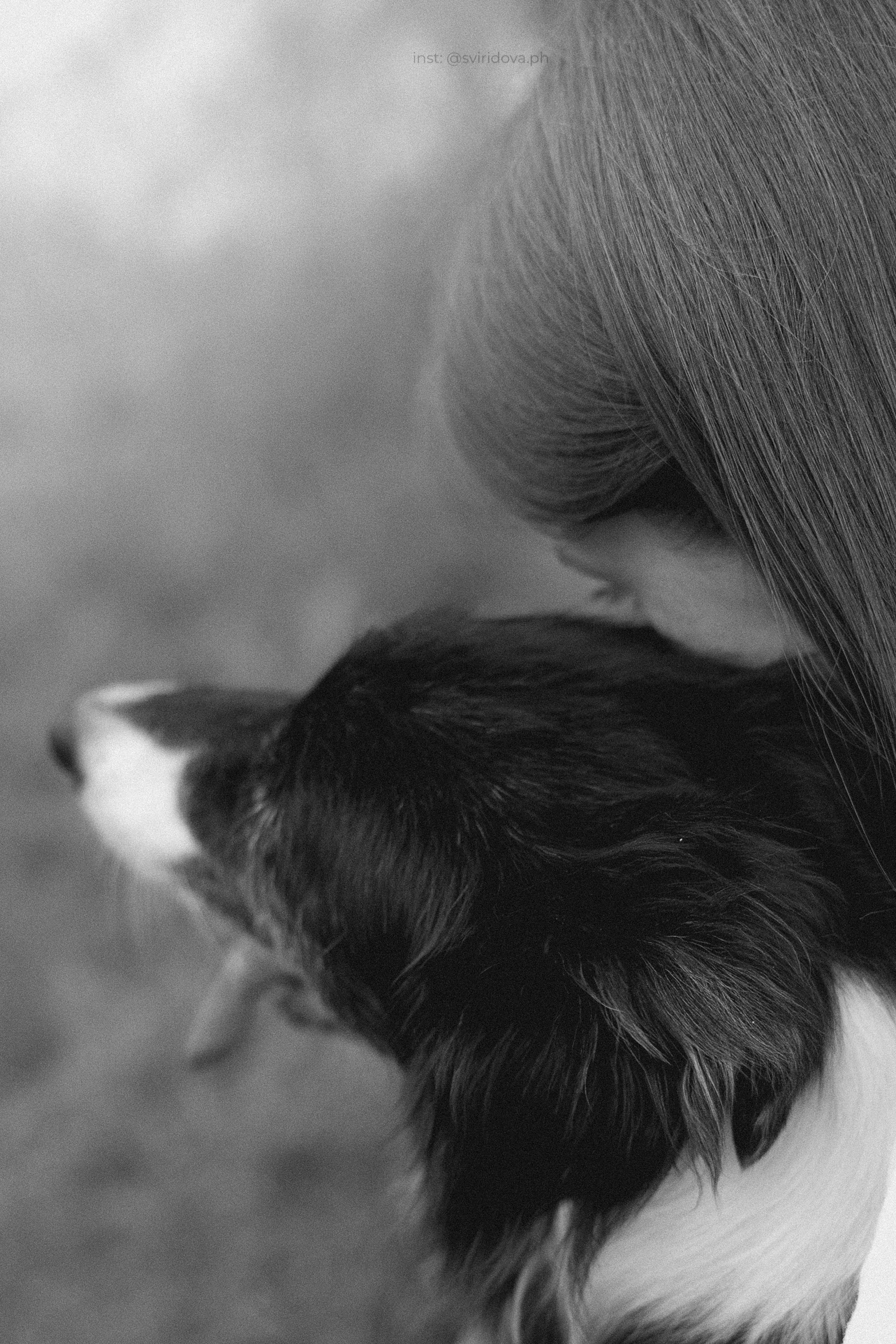 Вика и Веник. Фотограф анималист в Москве и Санкт-Петербурге Свиридова Анна