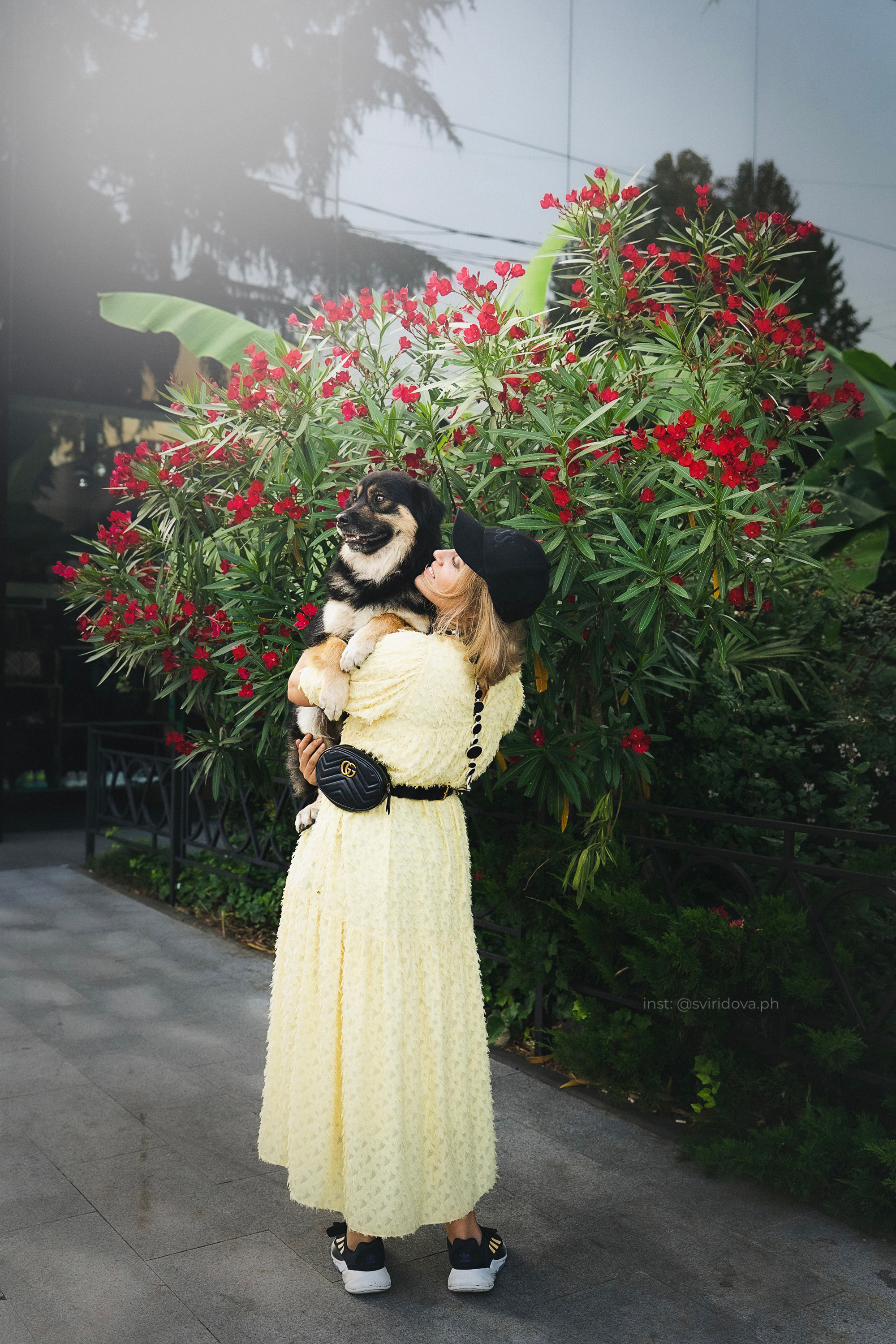 Собакам ищут дом. Фотограф анималист в Москве и Санкт-Петербурге Свиридова Анна