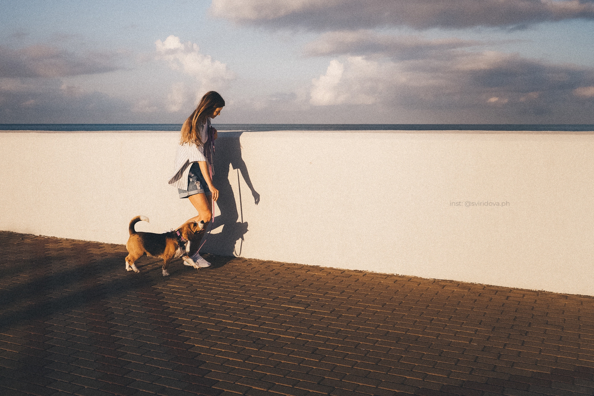 Евгения и Мира. Фотограф анималист в Москве и Санкт-Петербурге Свиридова Анна