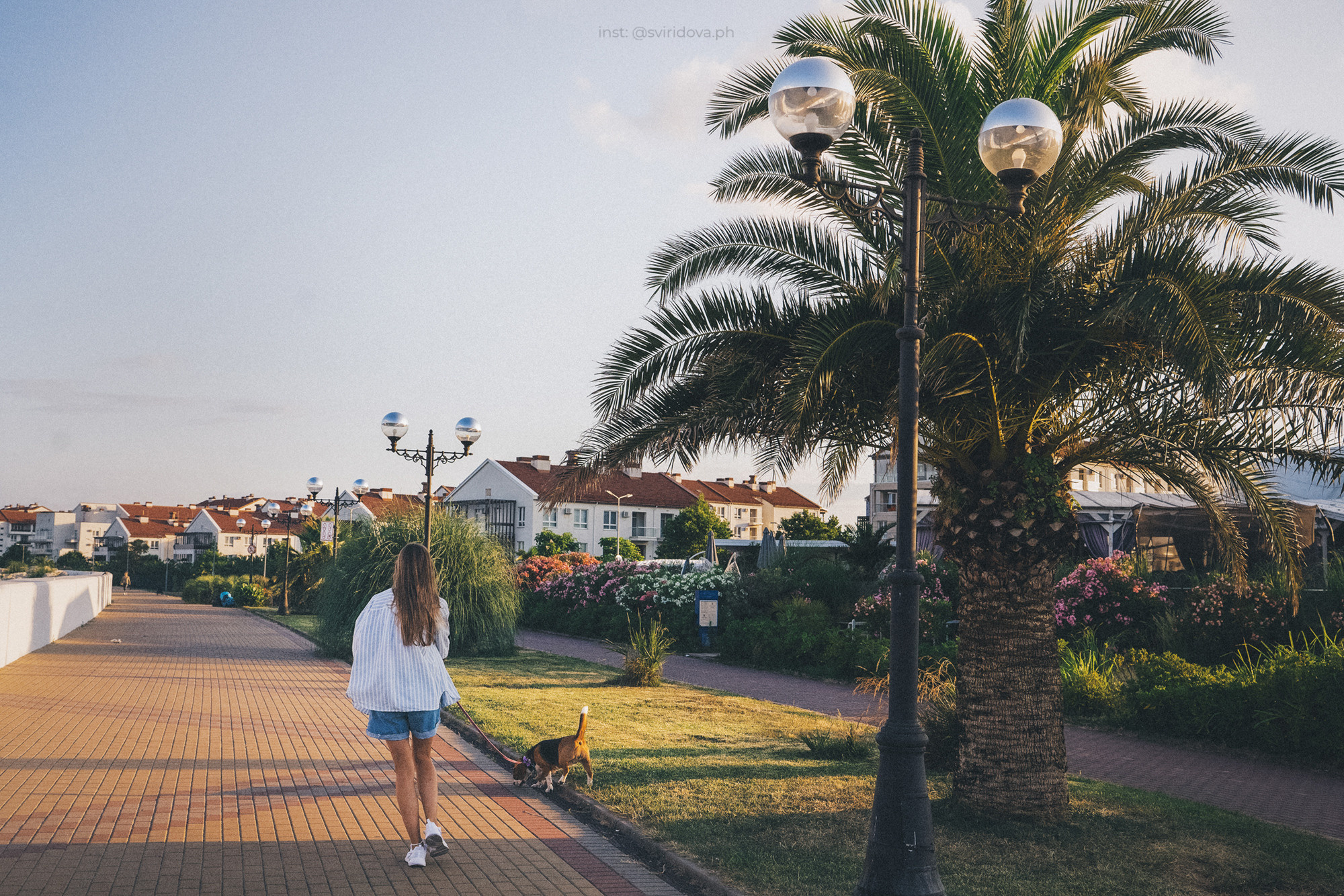 Евгения и Мира. Фотограф анималист в Москве и Санкт-Петербурге Свиридова Анна