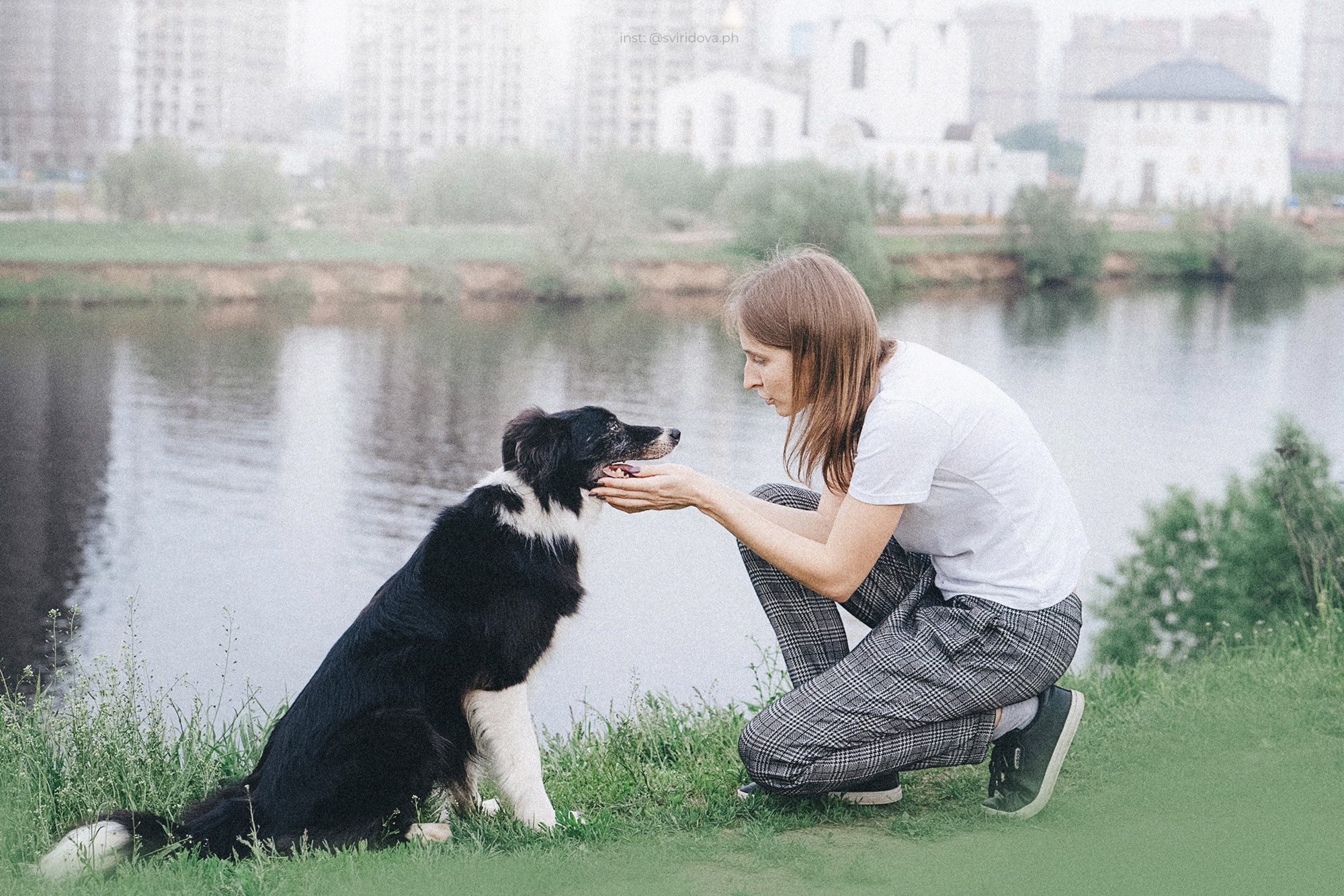 Вика и Веник. Фотограф анималист в Москве и Санкт-Петербурге Свиридова Анна