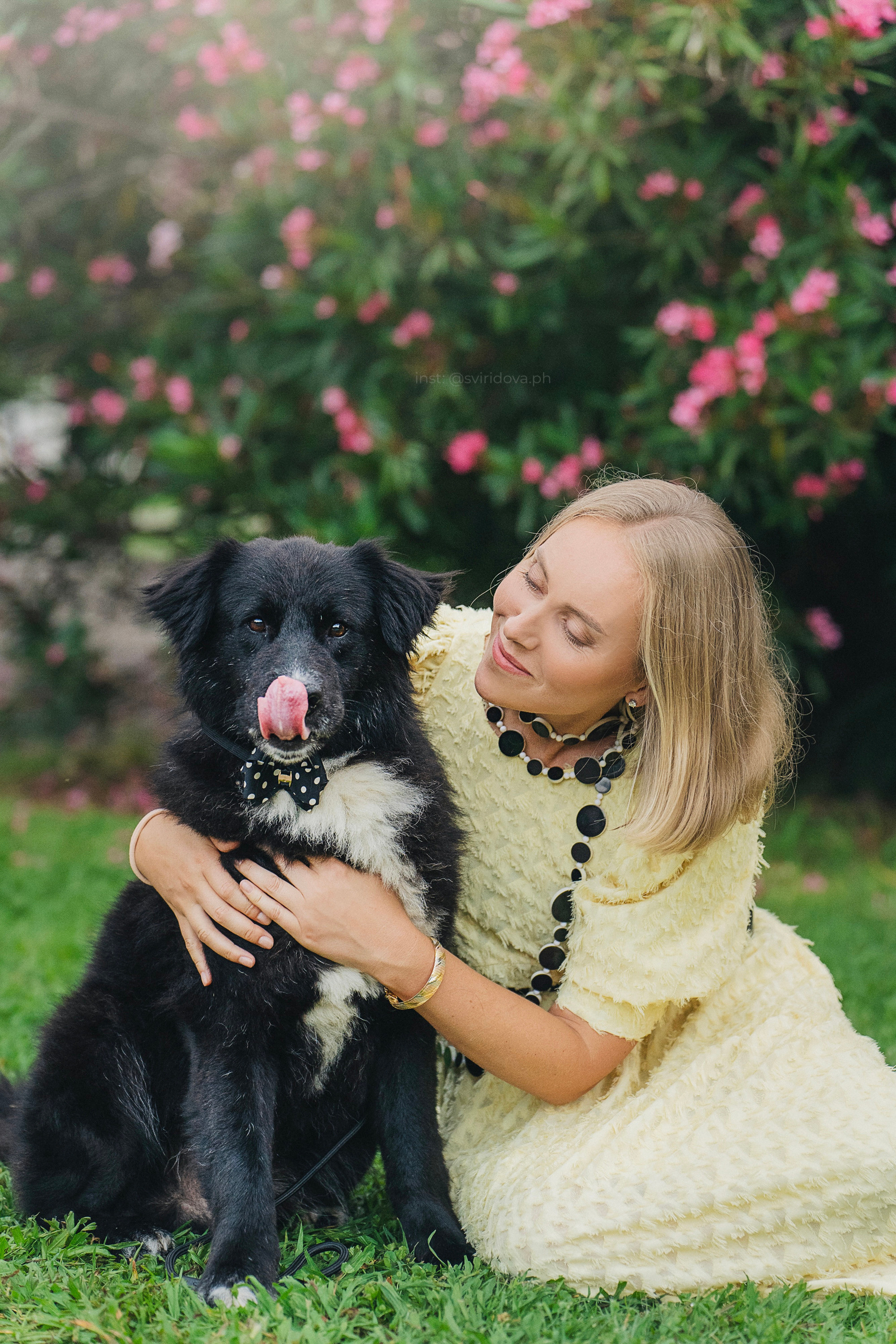 Собакам ищут дом. Фотограф анималист в Москве и Санкт-Петербурге Свиридова Анна