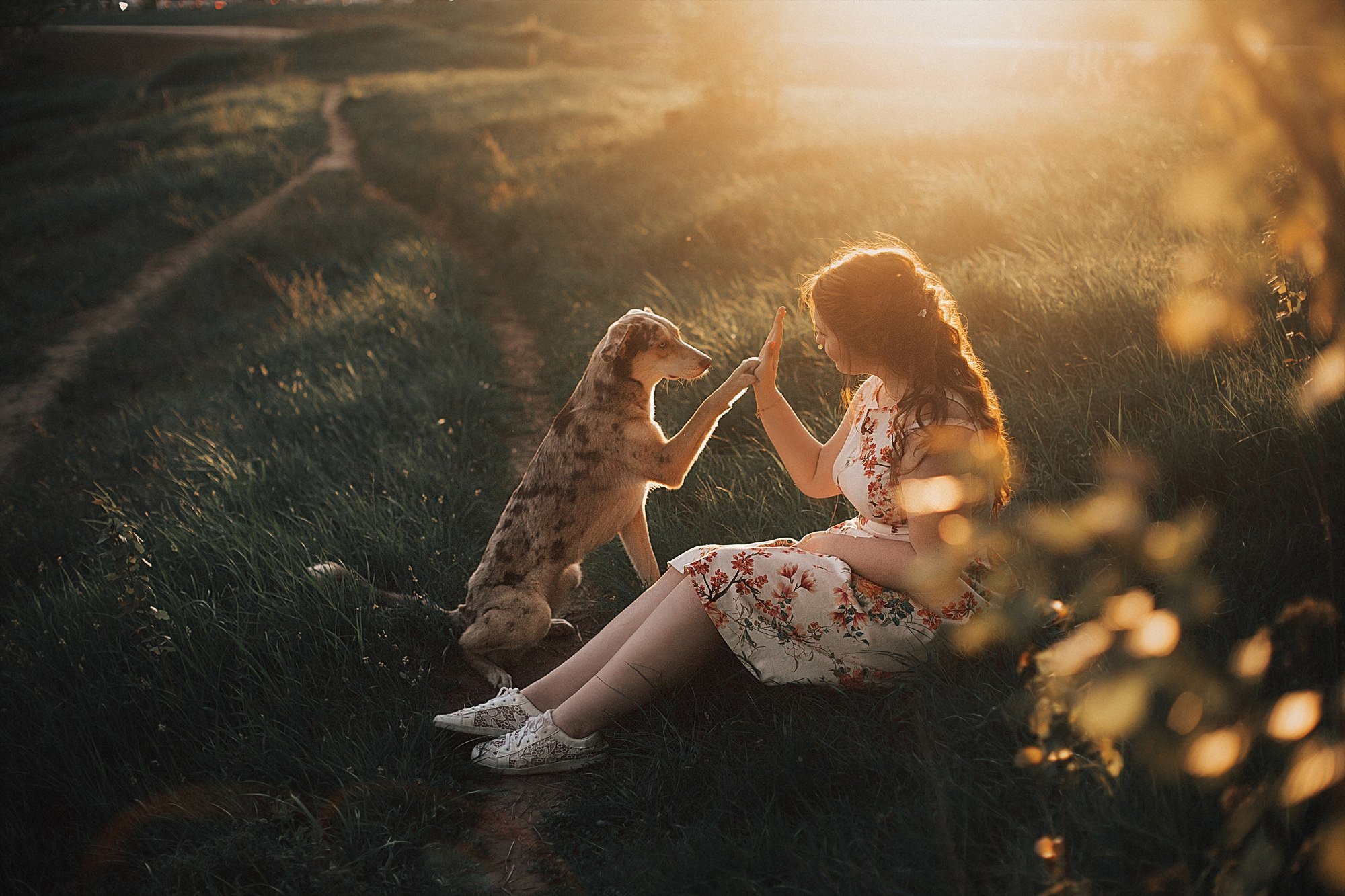 Фотограф анималист в Москве и Санкт-Петербурге Свиридова Анна