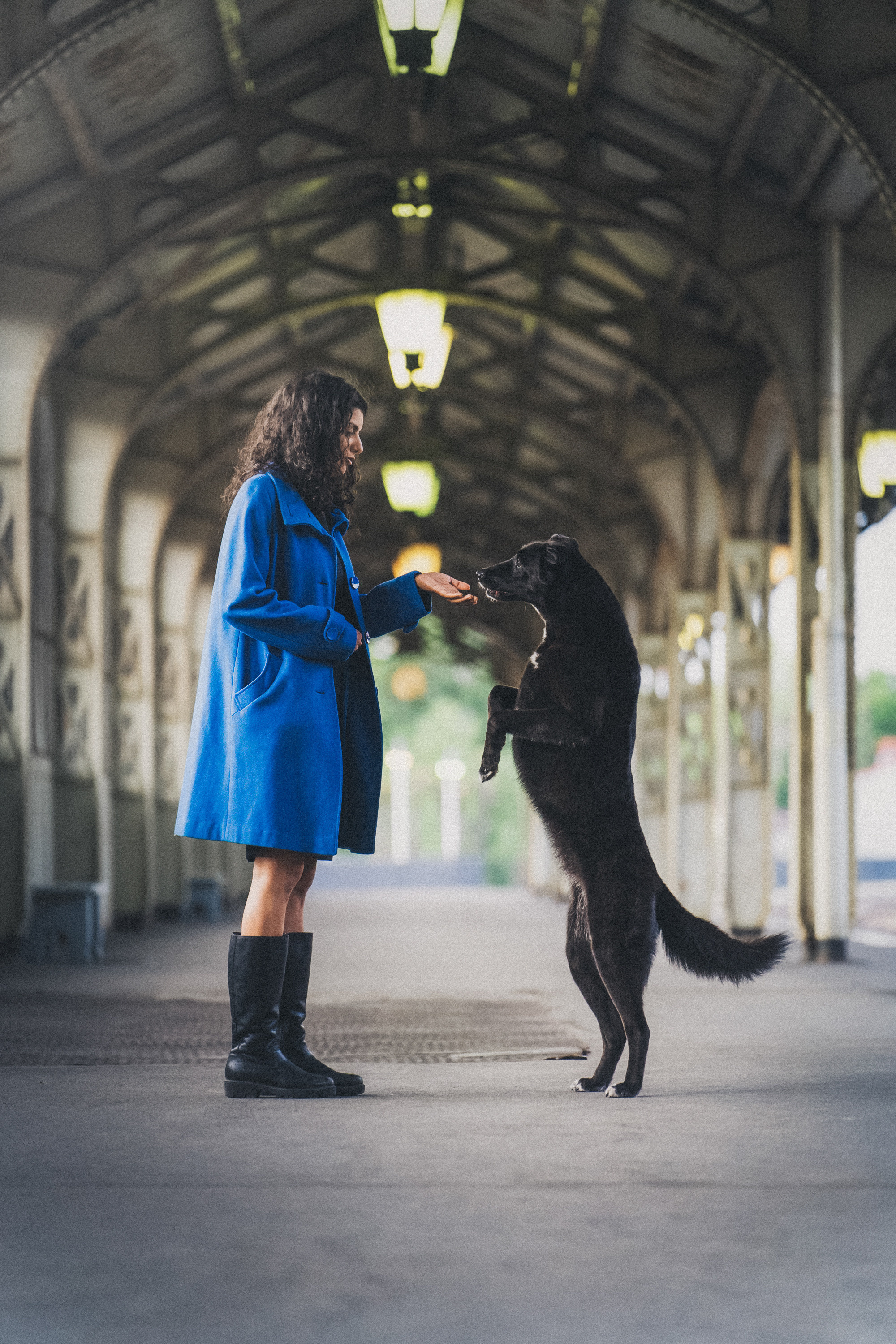 Вика и Чара. Фотограф анималист в Москве и Санкт-Петербурге Свиридова Анна