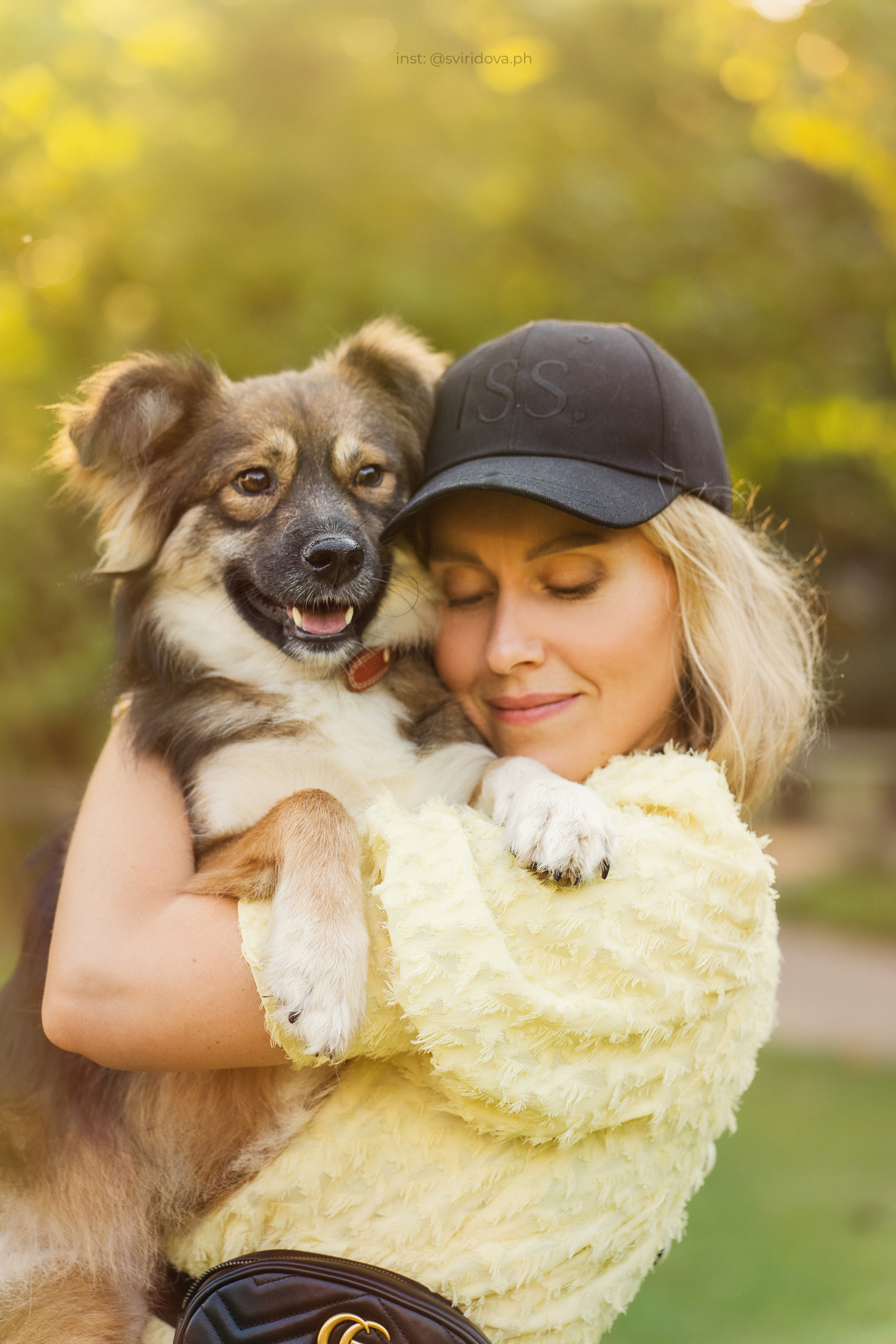 Собакам ищут дом. Фотограф анималист в Москве и Санкт-Петербурге Свиридова Анна