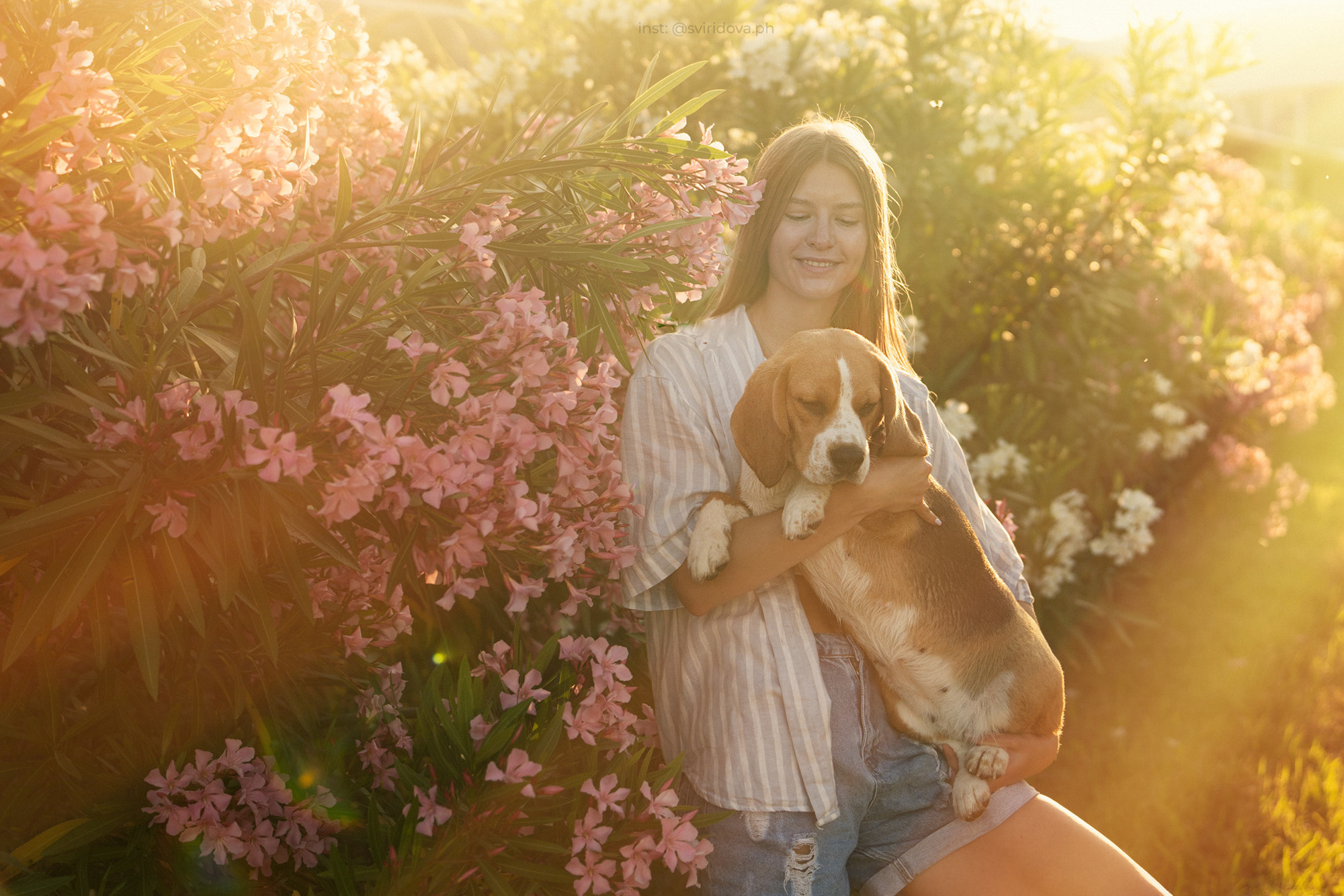 Евгения и Мира. Фотограф анималист в Москве и Санкт-Петербурге Свиридова Анна