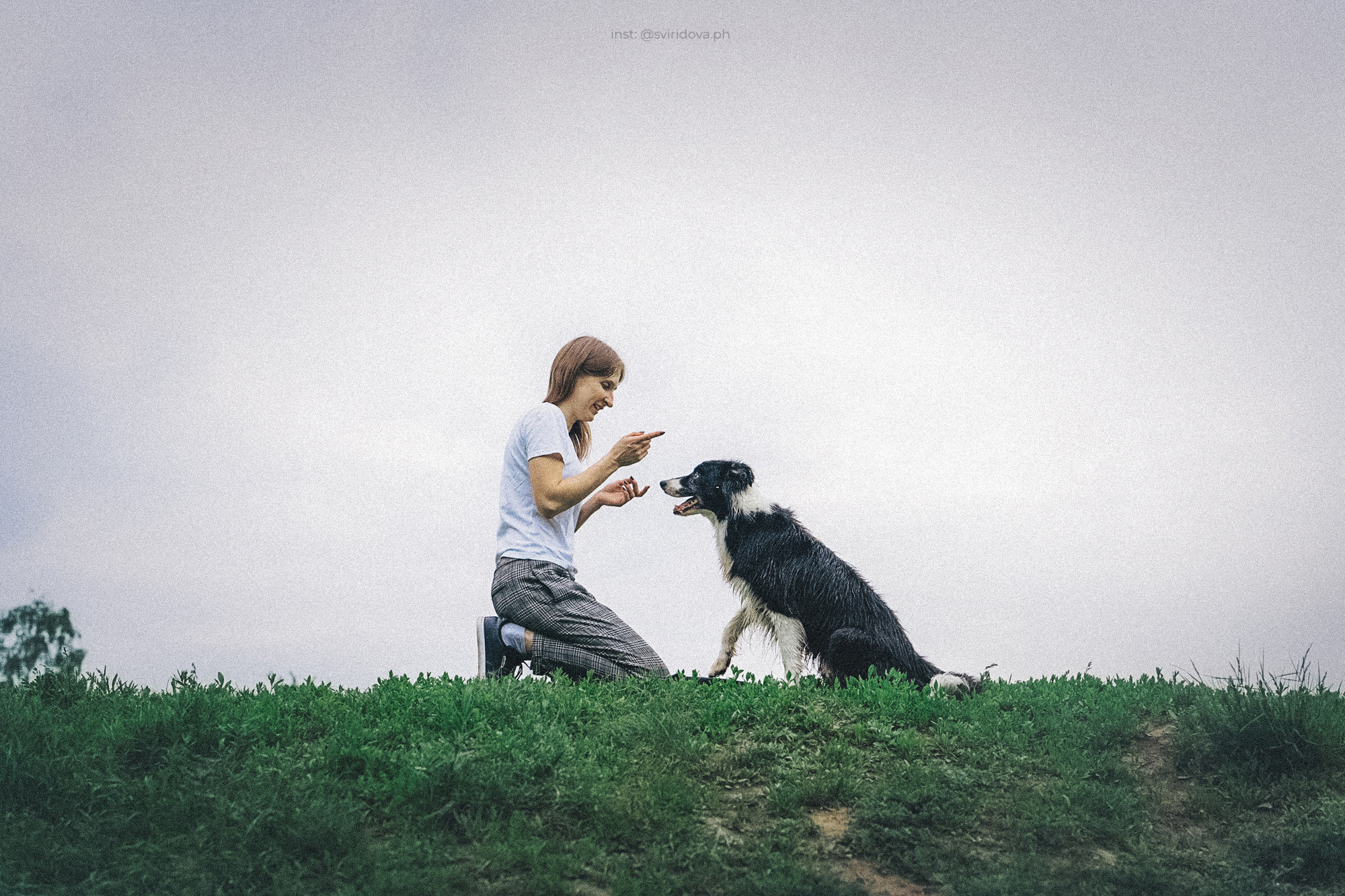 Вика и Веник. Фотограф анималист в Москве и Санкт-Петербурге Свиридова Анна
