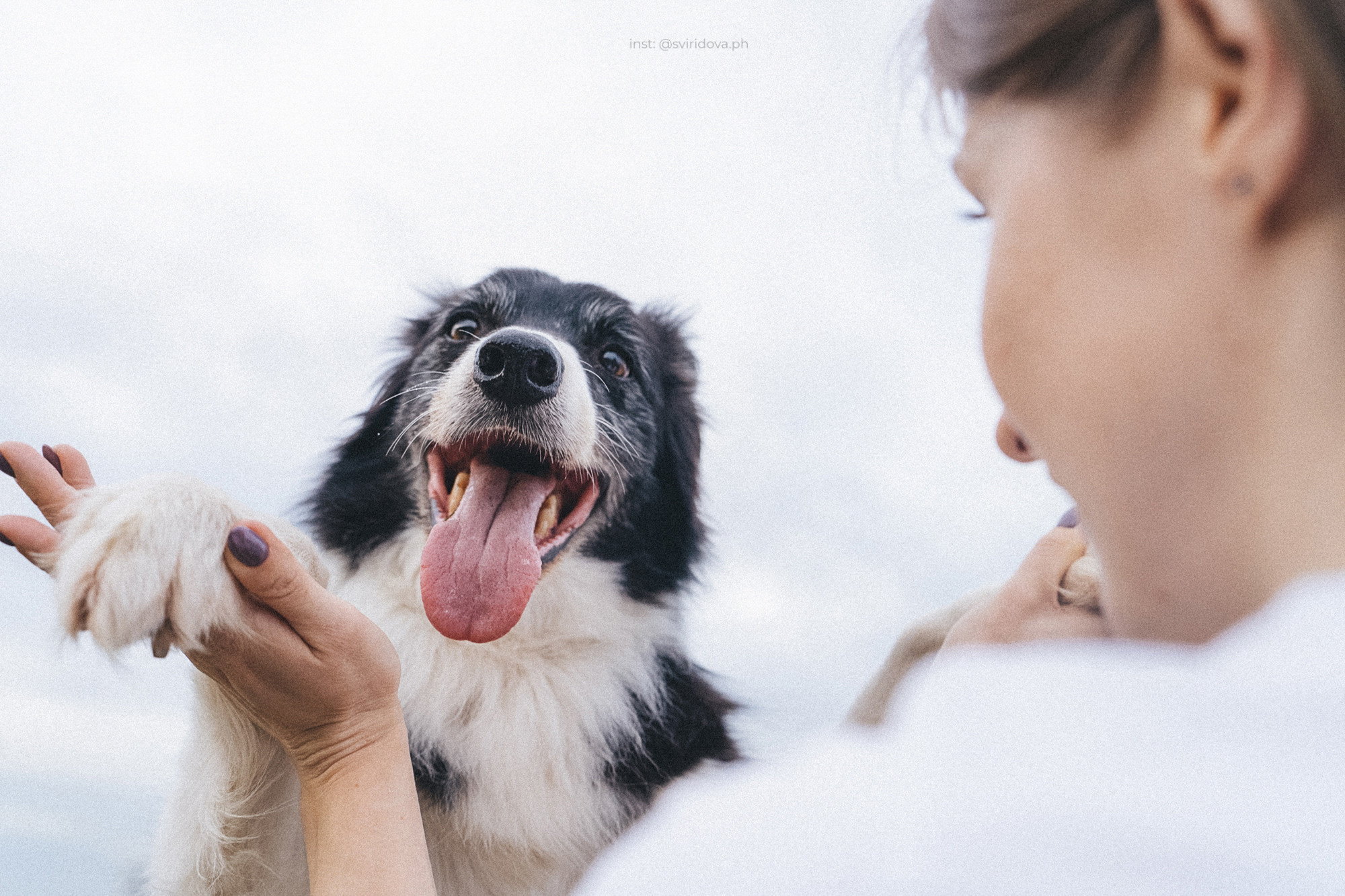 Вика и Веник. Фотограф анималист в Москве и Санкт-Петербурге Свиридова Анна