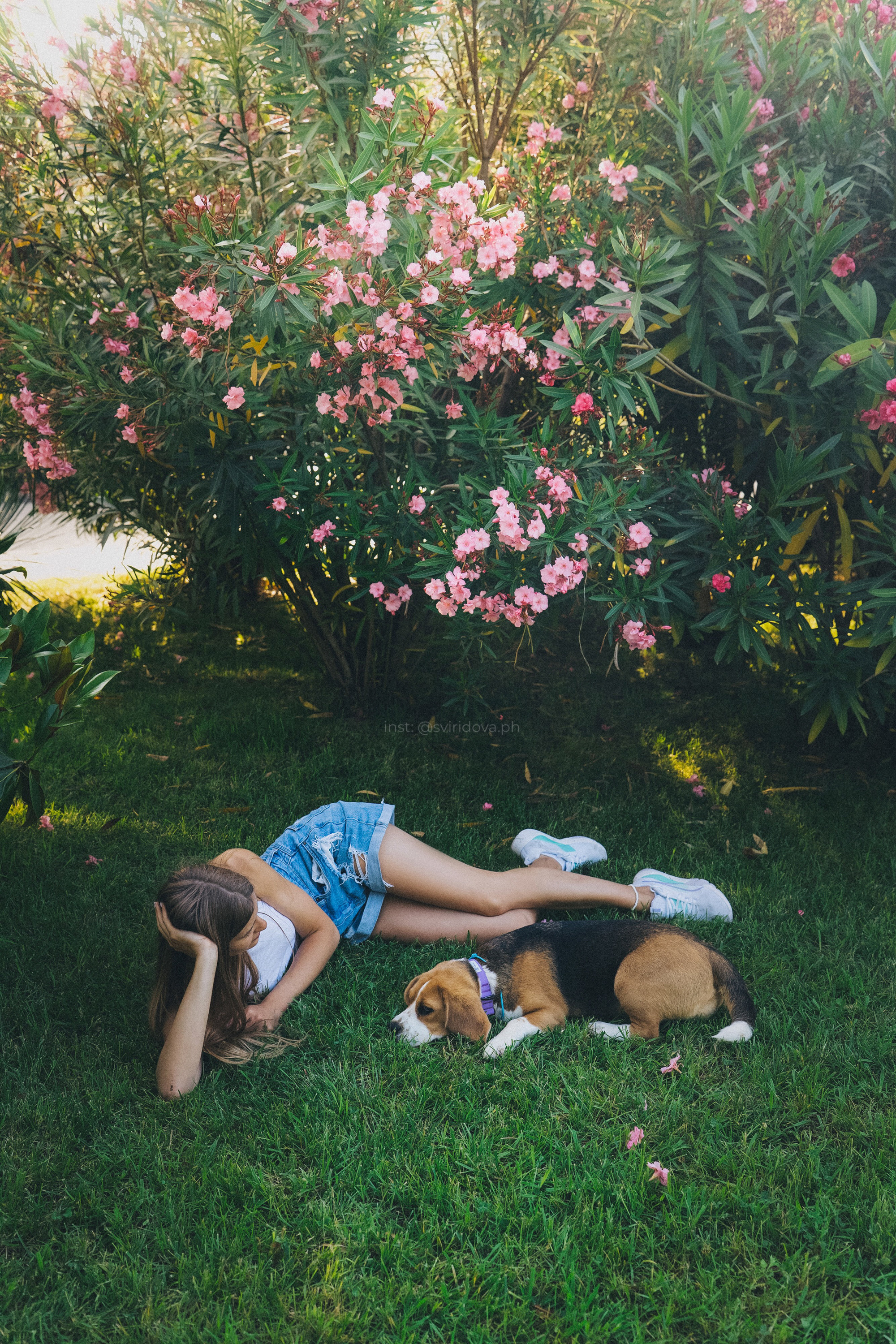 Евгения и Мира. Фотограф анималист в Москве и Санкт-Петербурге Свиридова Анна