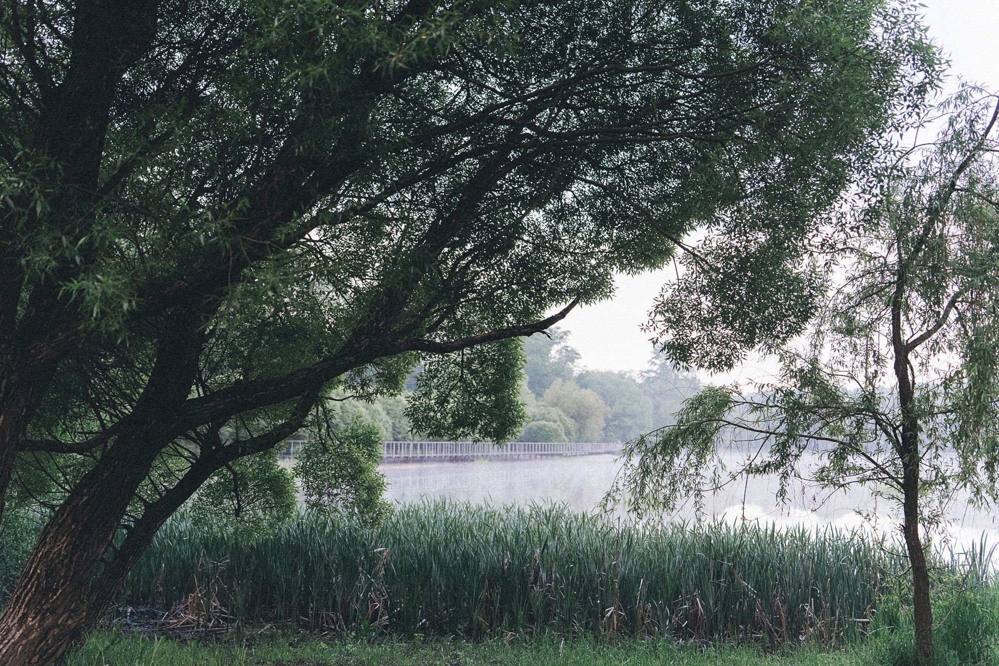 Катя и Бутуз. Фотограф анималист в Москве и Санкт-Петербурге Свиридова Анна