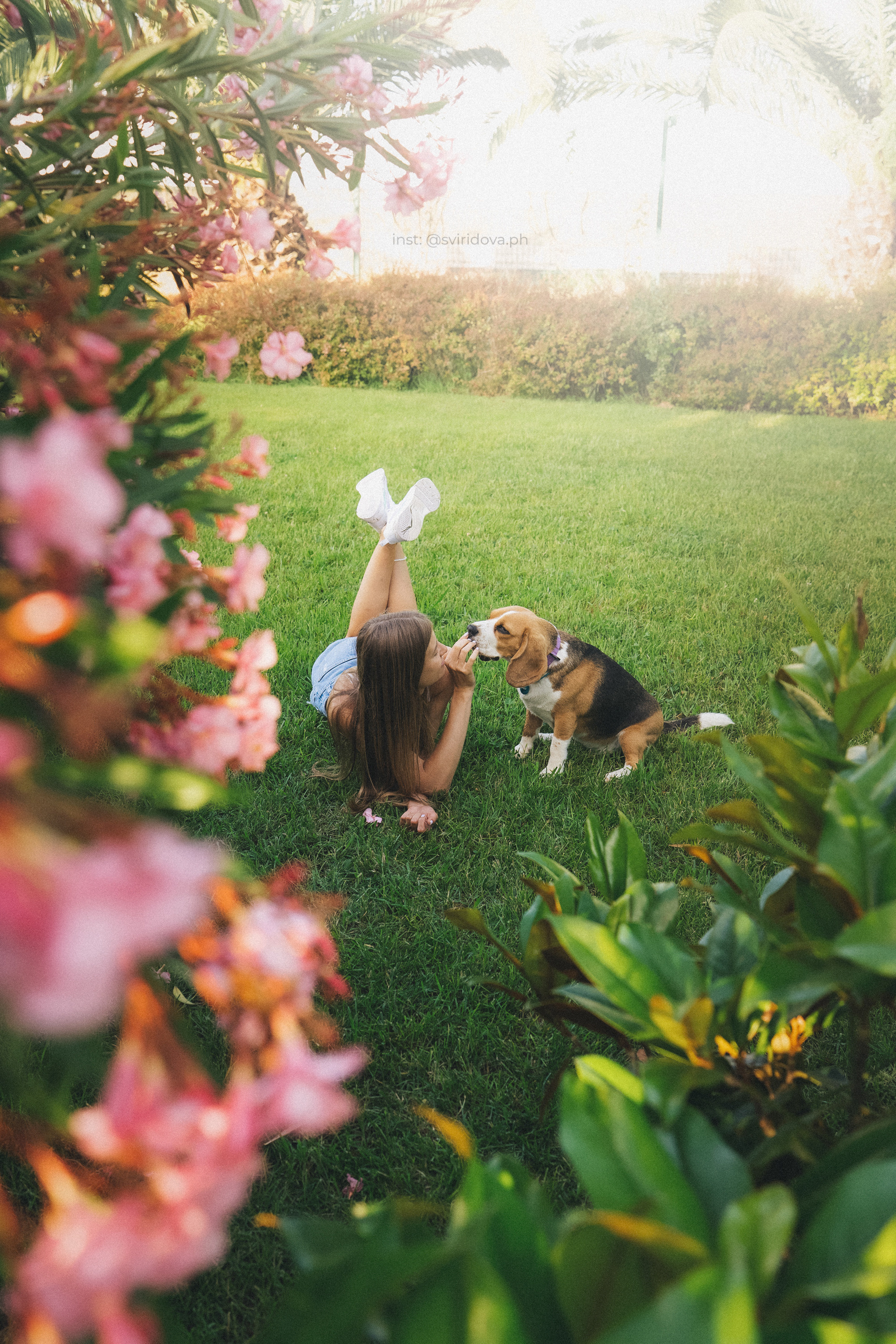 Евгения и Мира. Фотограф анималист в Москве и Санкт-Петербурге Свиридова Анна