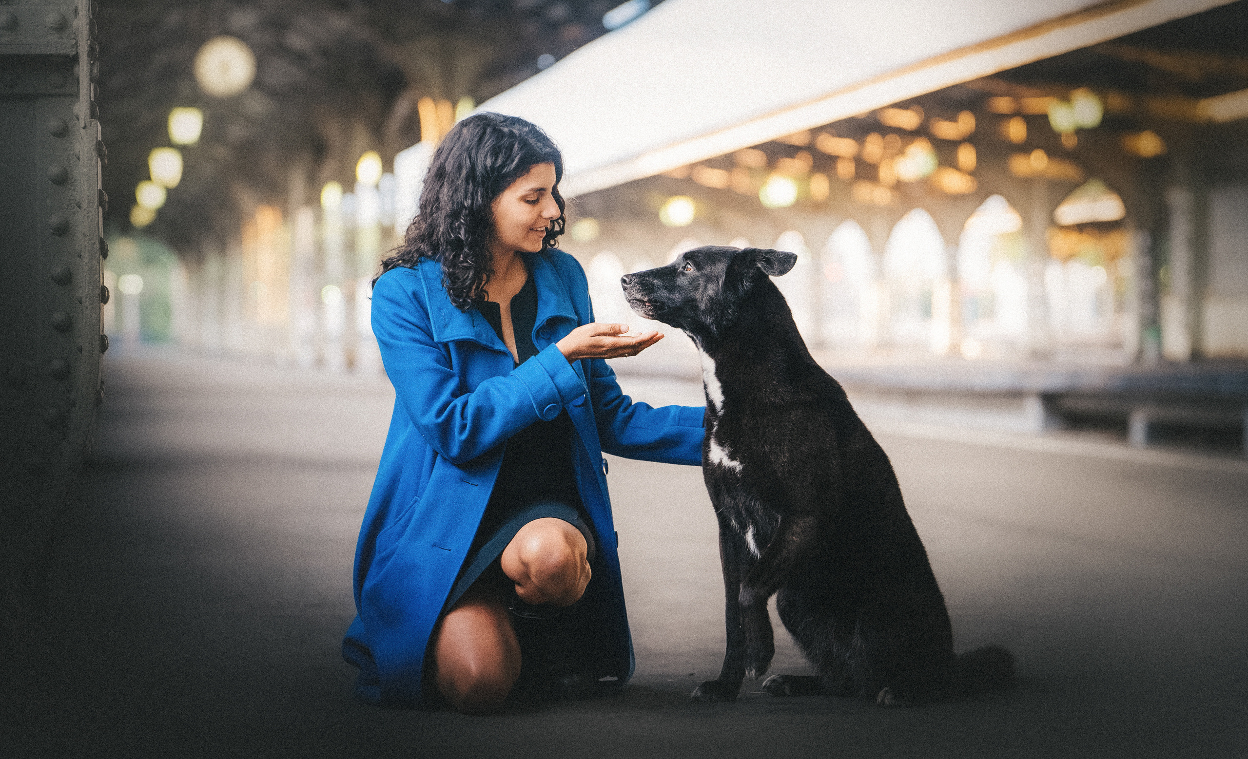 Вика и Чара. Фотограф анималист в Москве и Санкт-Петербурге Свиридова Анна