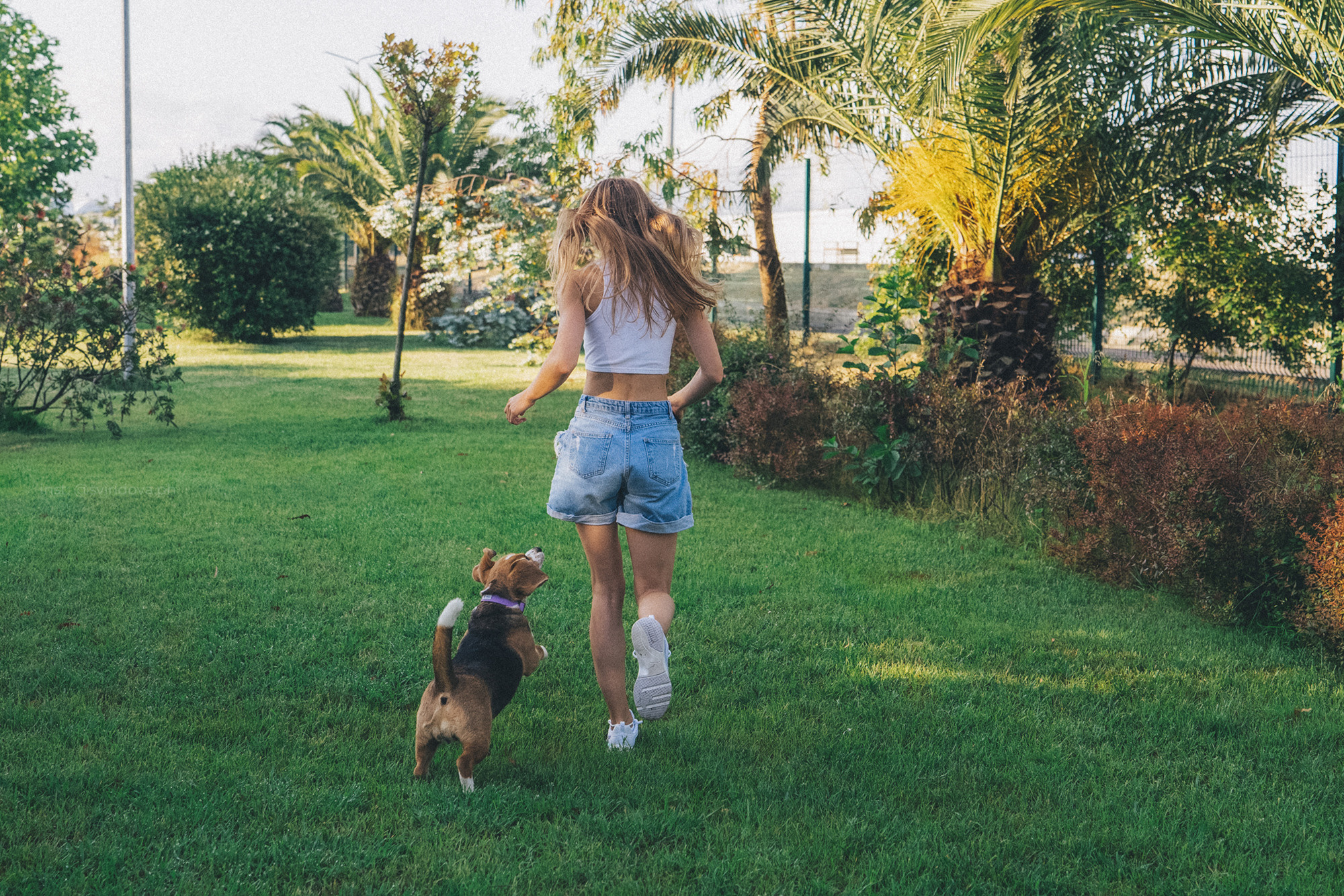 Евгения и Мира. Фотограф анималист в Москве и Санкт-Петербурге Свиридова Анна