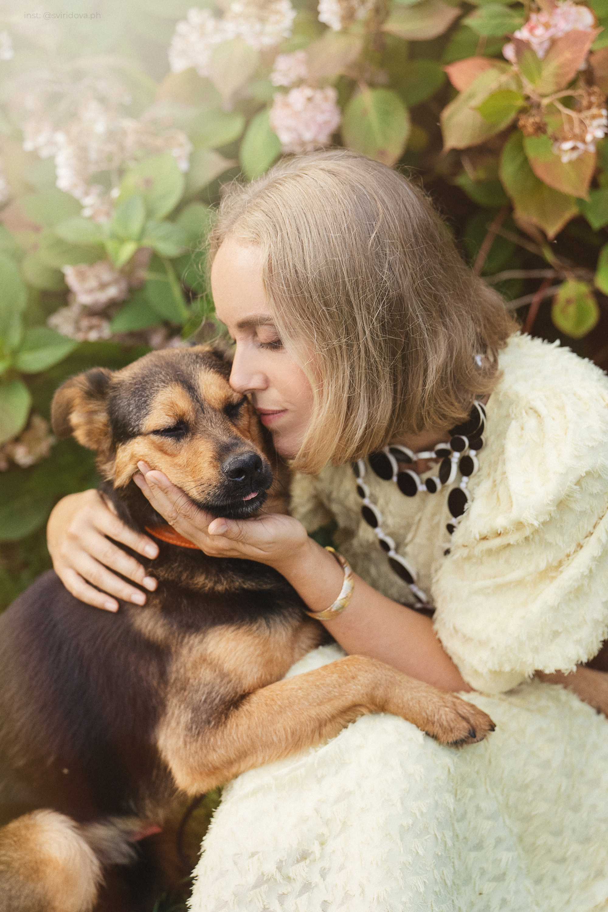 Собакам ищут дом. Фотограф анималист в Москве и Санкт-Петербурге Свиридова Анна