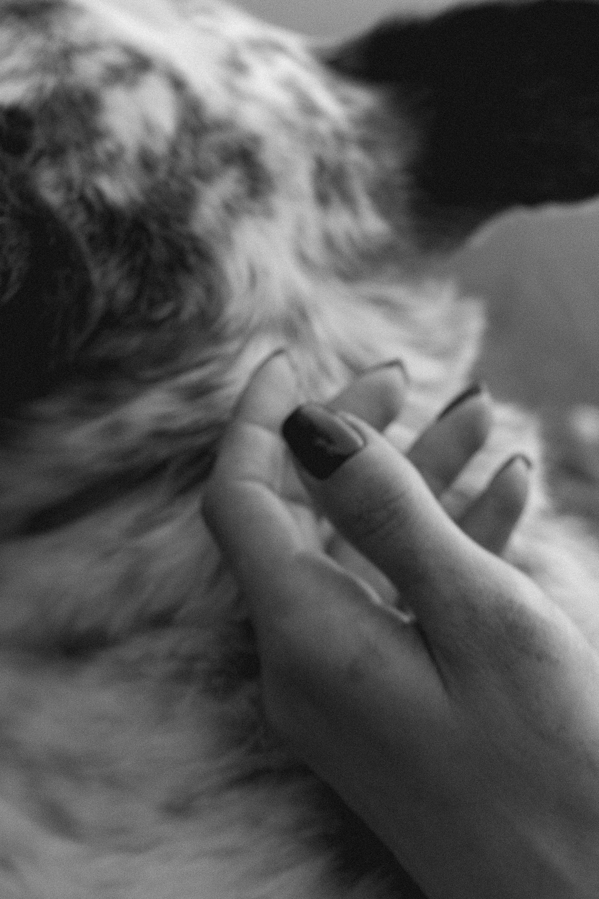 Катя и Бутуз. Фотограф анималист в Москве и Санкт-Петербурге Свиридова Анна