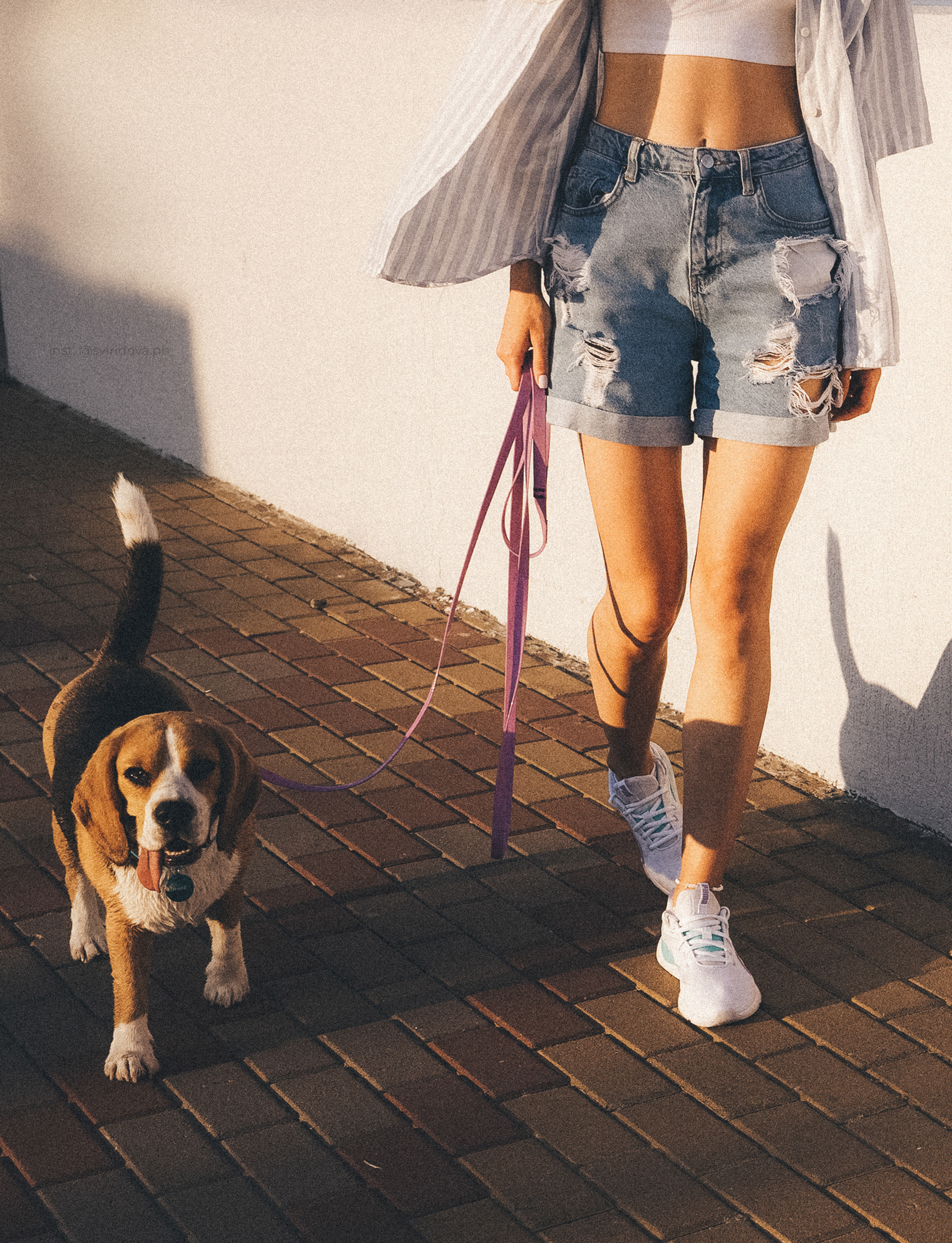 Евгения и Мира. Фотограф анималист в Москве и Санкт-Петербурге Свиридова Анна