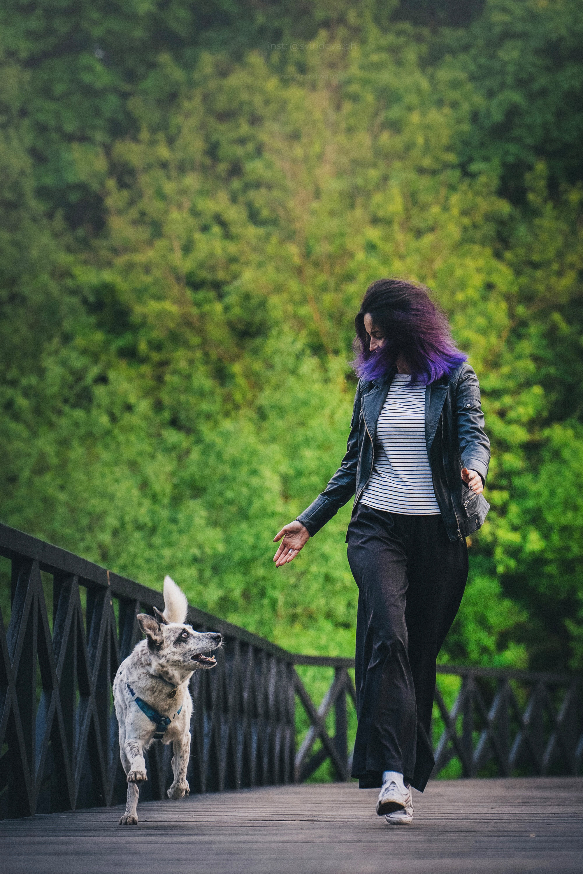 Катя и Бутуз. Фотограф анималист в Москве и Санкт-Петербурге Свиридова Анна