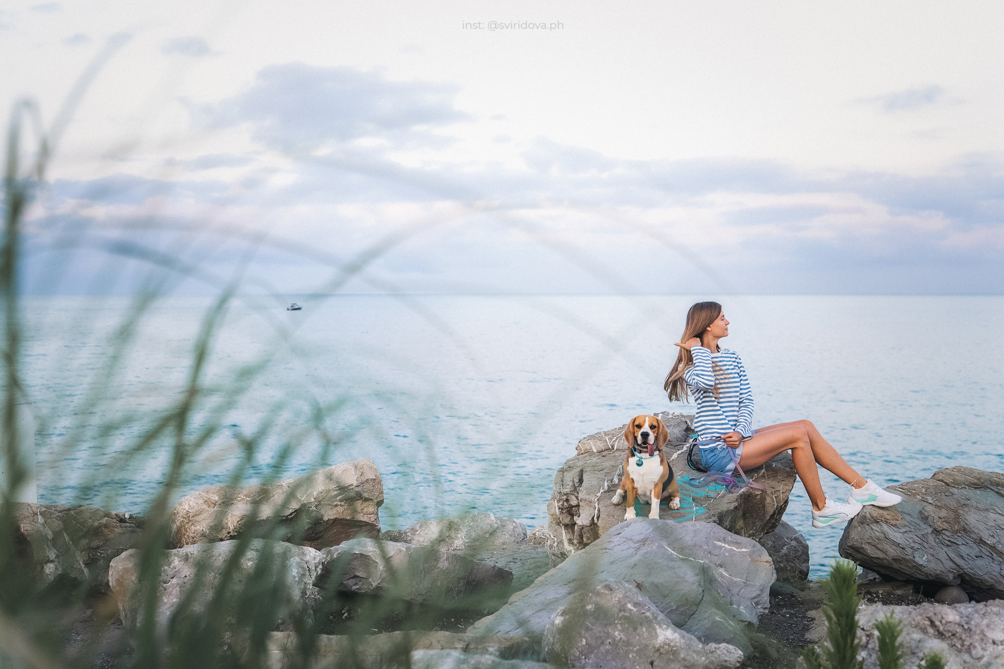 Евгения и Мира. Фотограф анималист в Москве и Санкт-Петербурге Свиридова Анна