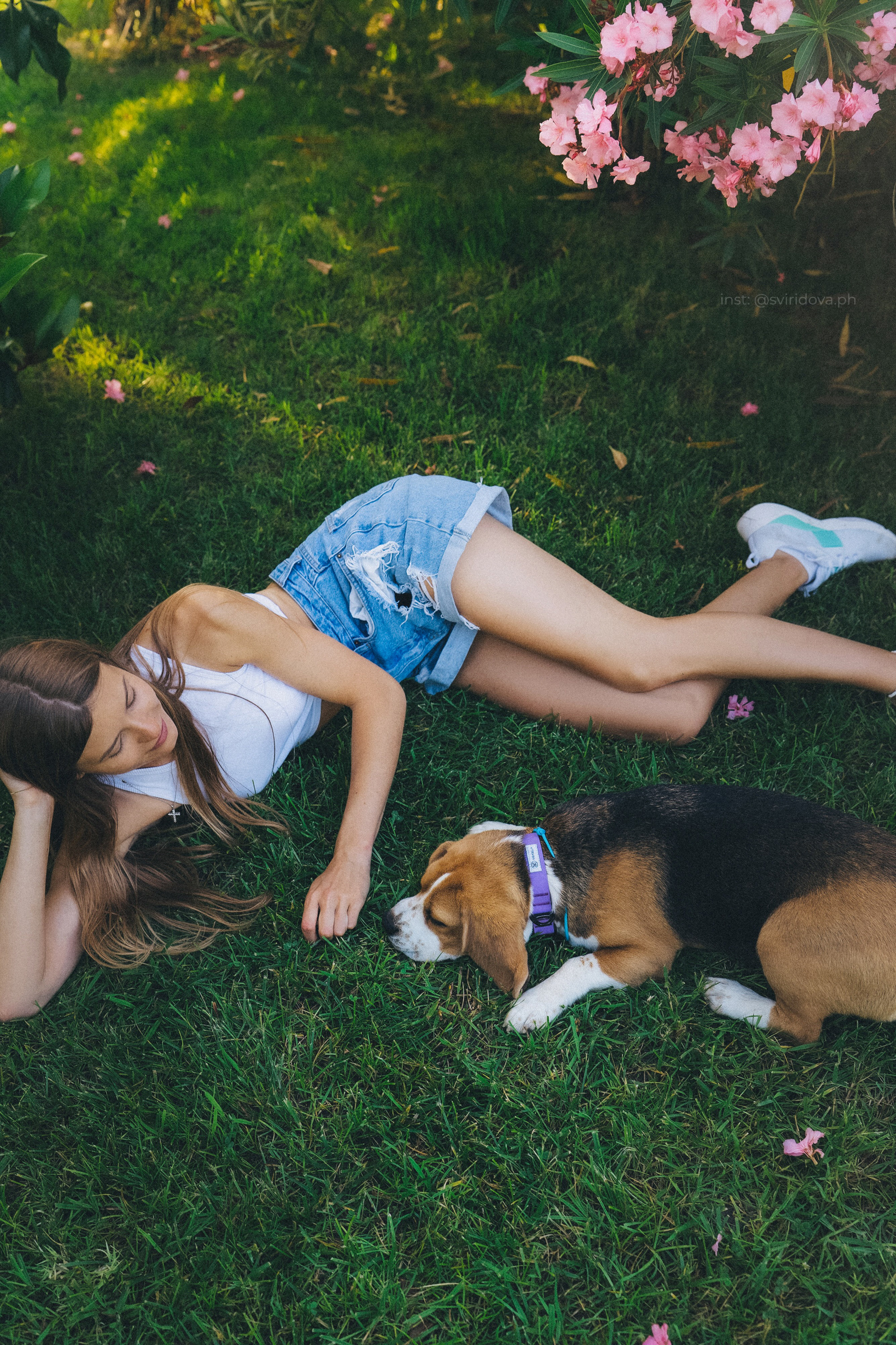 Евгения и Мира. Фотограф анималист в Москве и Санкт-Петербурге Свиридова Анна