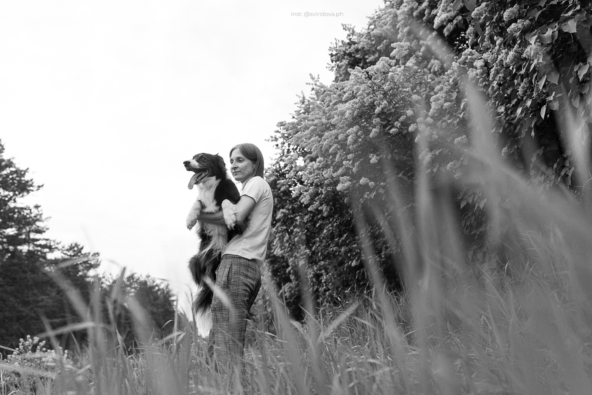 Вика и Веник. Фотограф анималист в Москве и Санкт-Петербурге Свиридова Анна