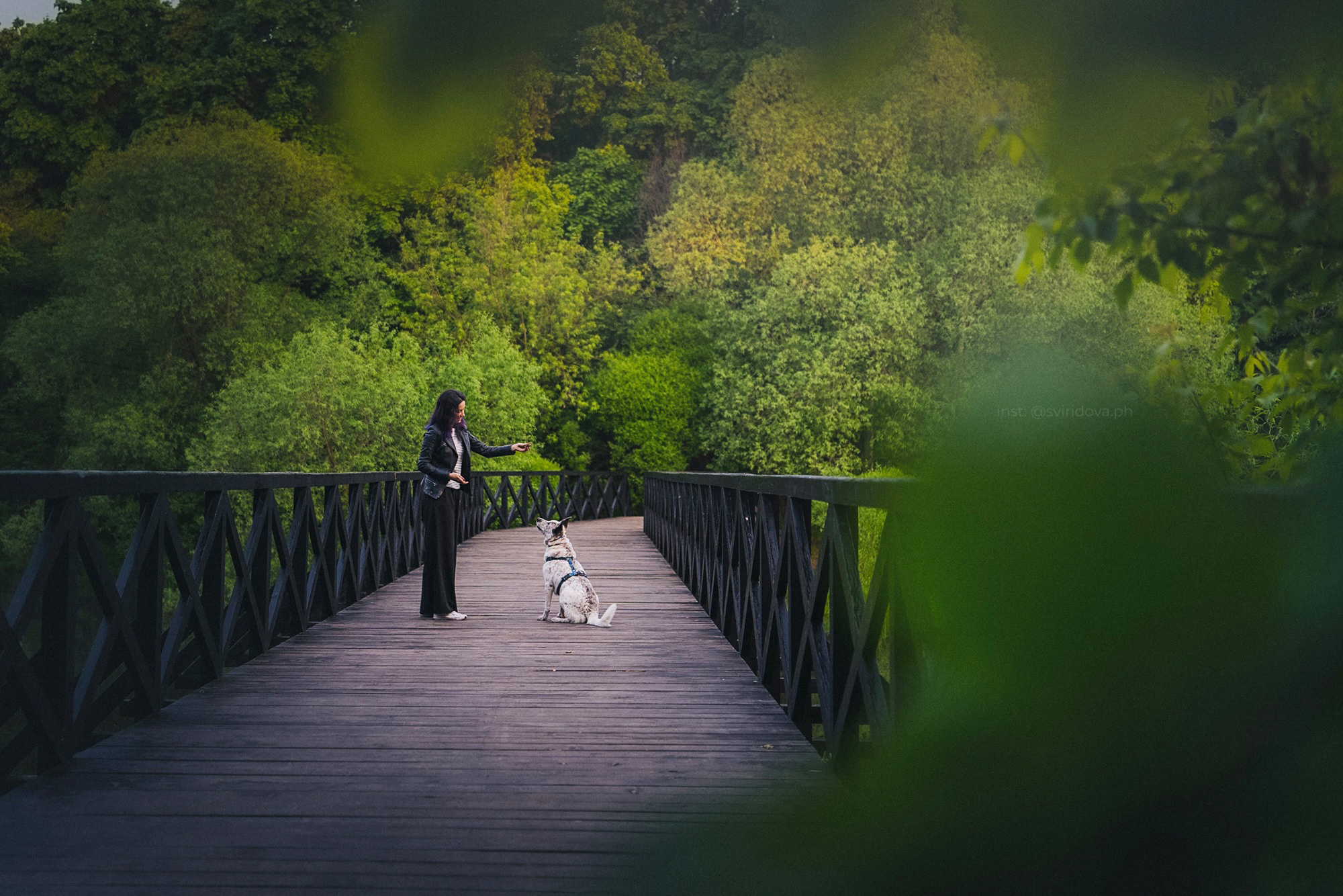 Катя и Бутуз. Фотограф анималист в Москве и Санкт-Петербурге Свиридова Анна