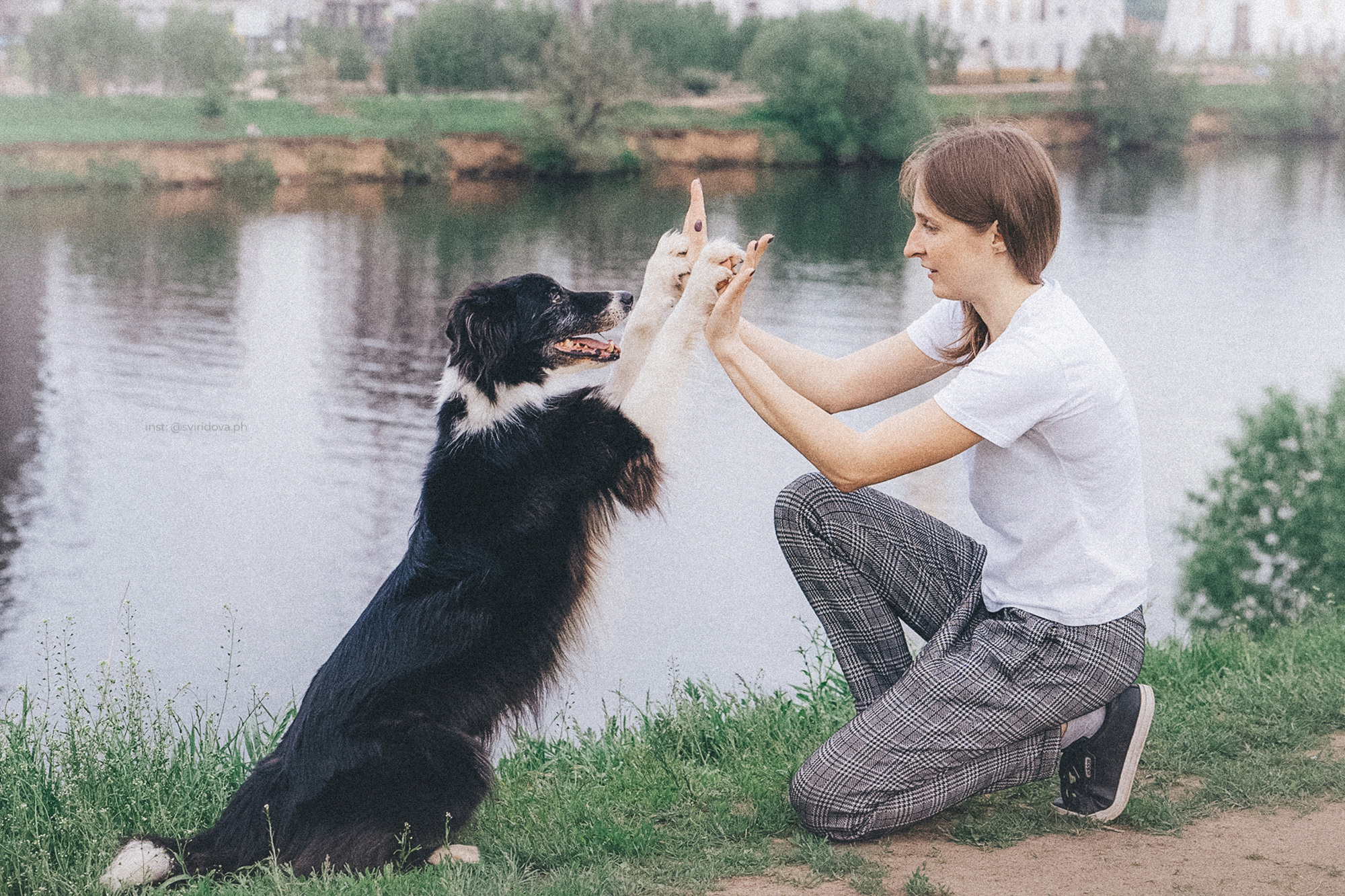 Вика и Веник. Фотограф анималист в Москве и Санкт-Петербурге Свиридова Анна