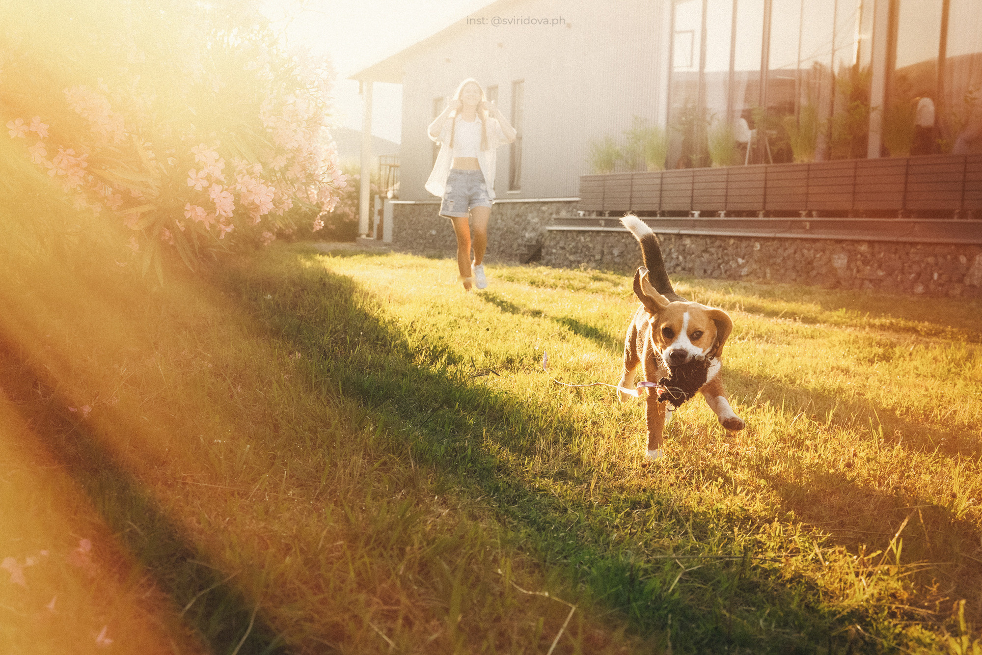 Евгения и Мира. Фотограф анималист в Москве и Санкт-Петербурге Свиридова Анна