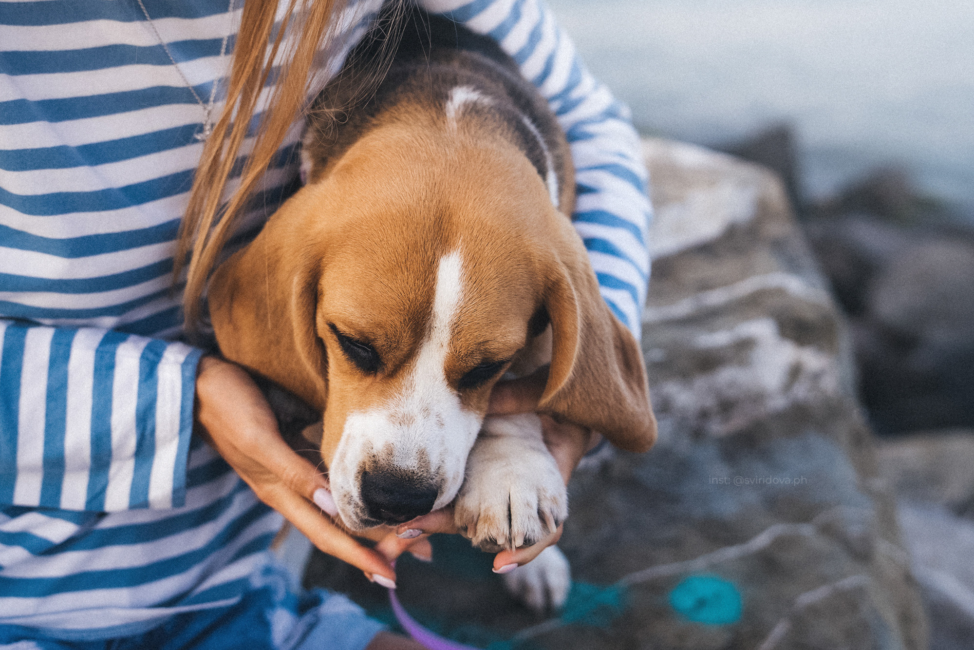 Евгения и Мира. Фотограф анималист в Москве и Санкт-Петербурге Свиридова Анна