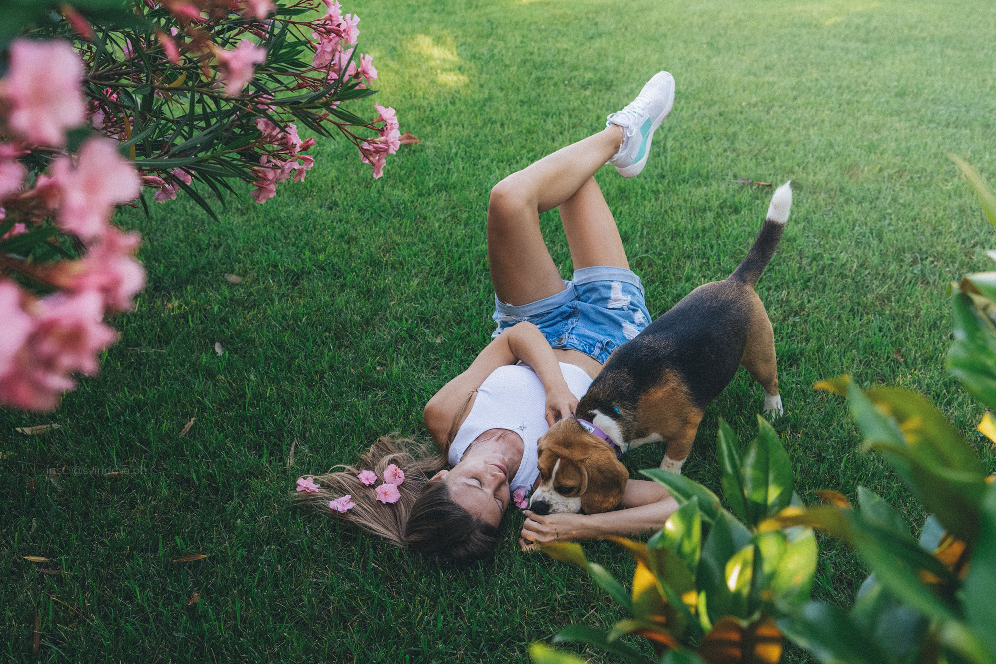 Евгения и Мира. Фотограф анималист в Москве и Санкт-Петербурге Свиридова Анна