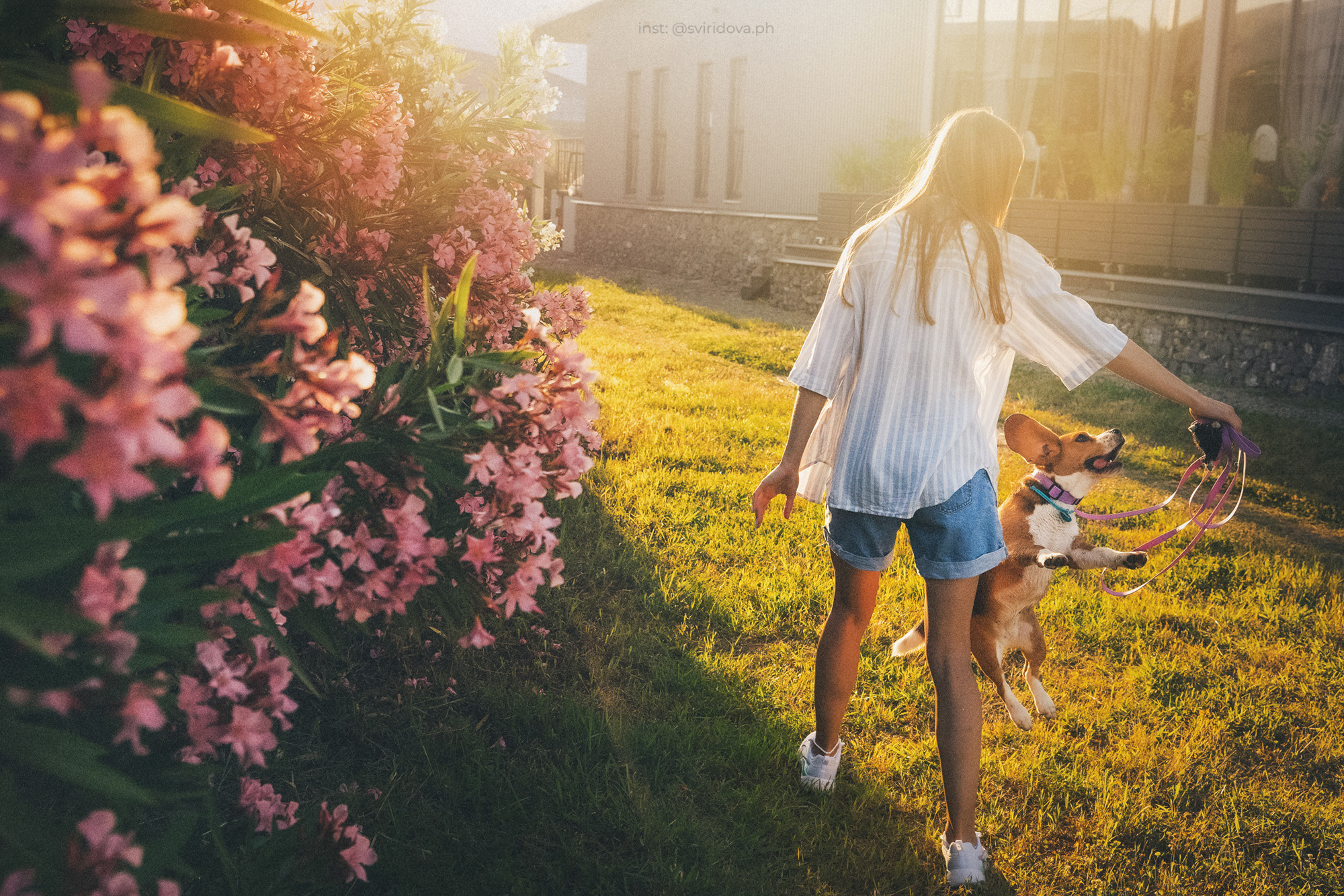Евгения и Мира. Фотограф анималист в Москве и Санкт-Петербурге Свиридова Анна