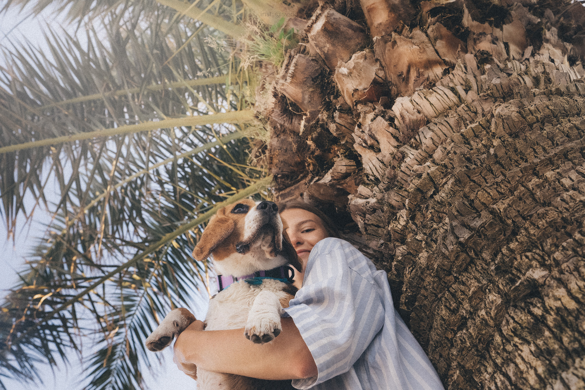 Евгения и Мира. Фотограф анималист в Москве и Санкт-Петербурге Свиридова Анна
